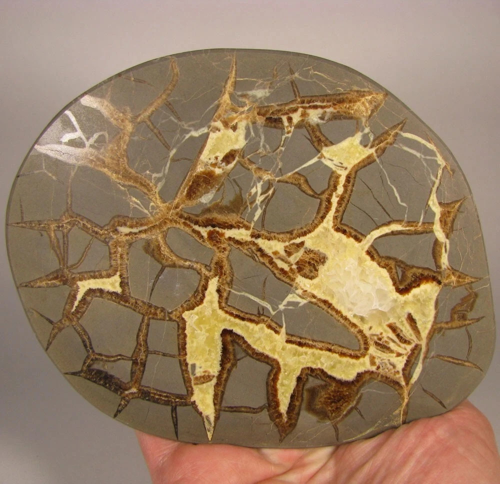 6″ Polished SEPTARIAN GEODE End Slab – Utah – 1.7 lbs.