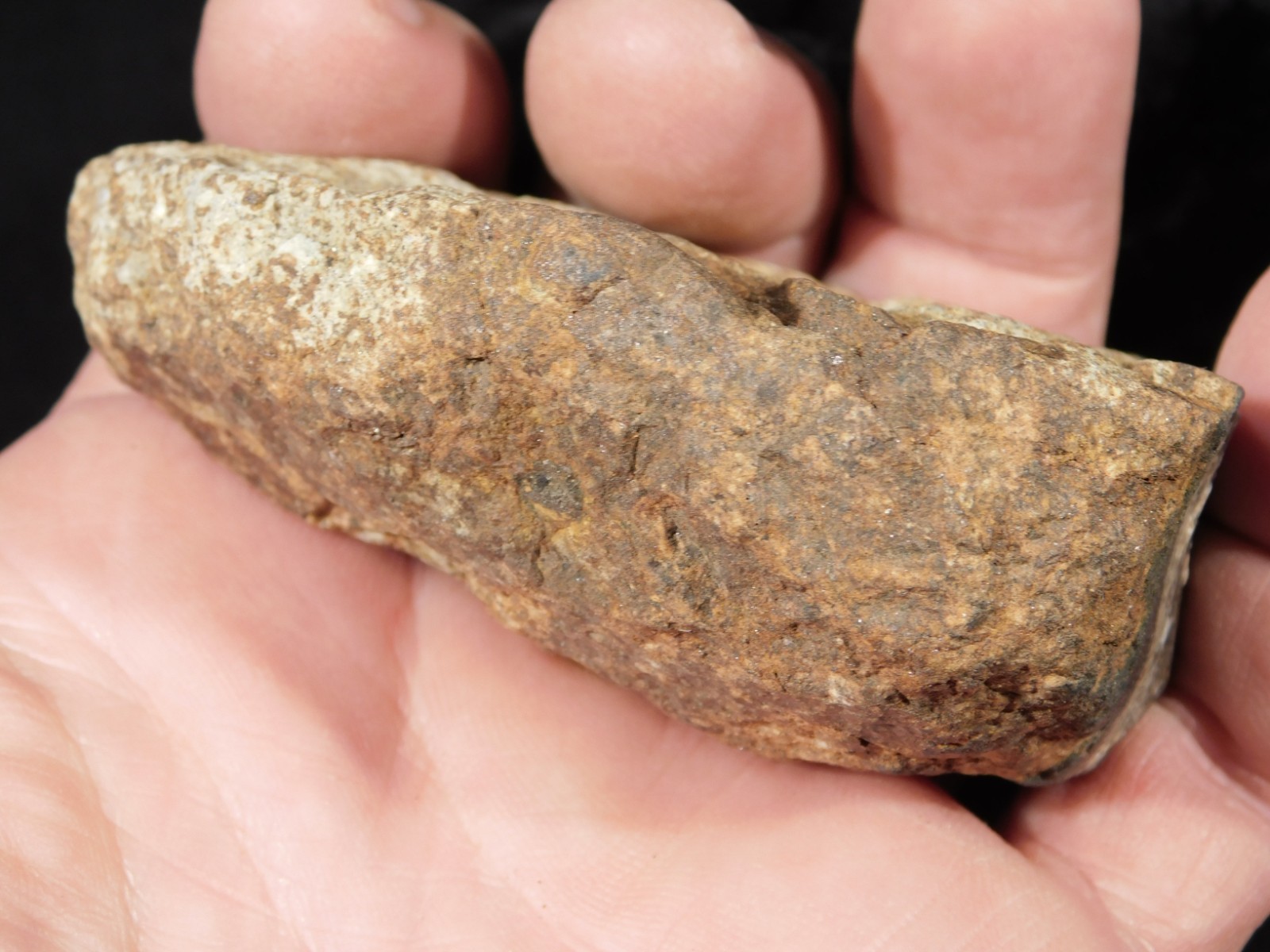 Larger Classified NWA 8245 METEORITE 100% Natural! Erfoud, Morocco 207gr