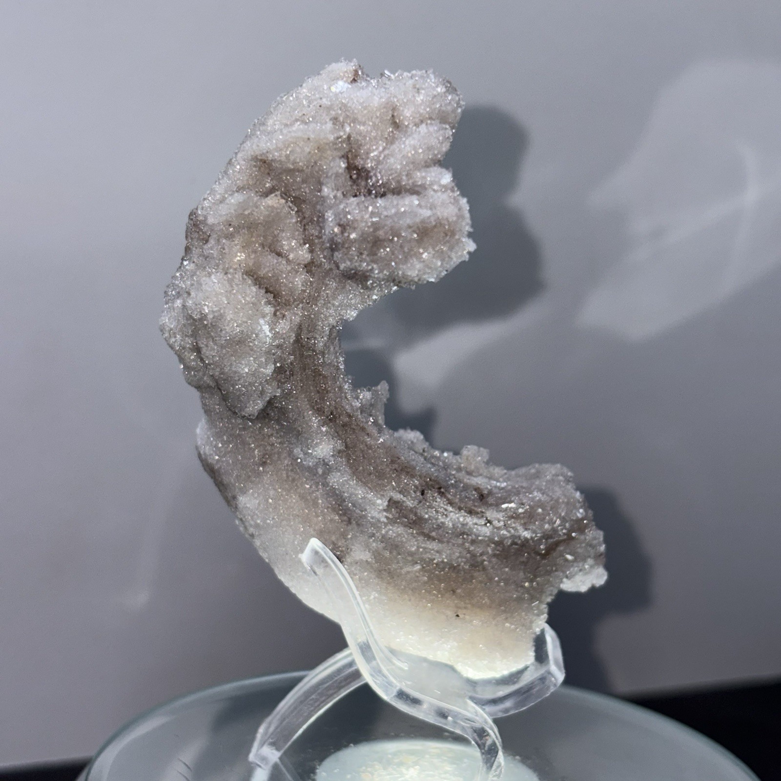 63g Natural Ram’s Horn Selenite Gypsum Crystal Specimen from Guizhou, China