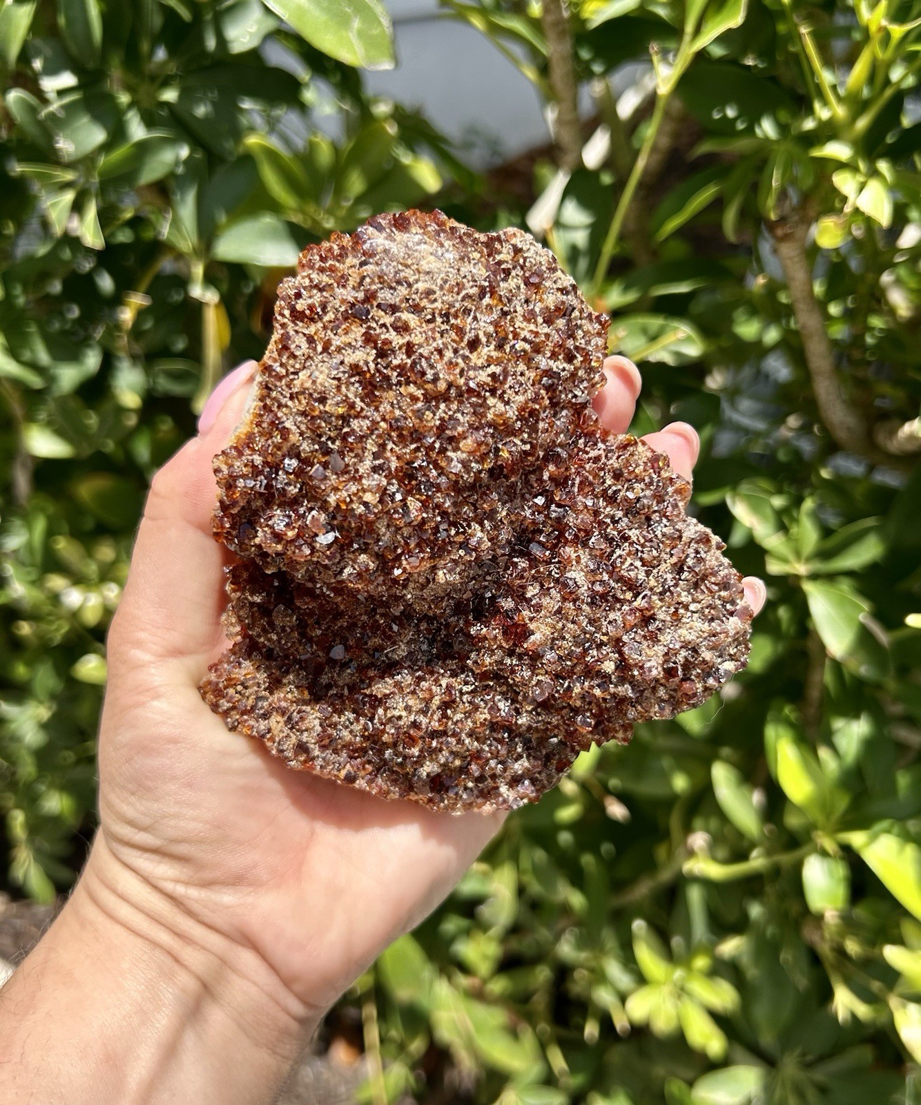 Natural Citrine Crystal Cluster – Sparkling Druzy Honey Quartz Specimen