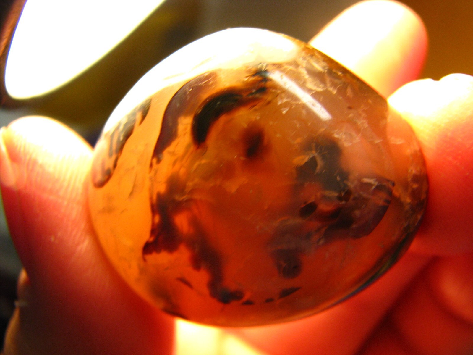 41g 40mm DENDRITIC CHALCEDONY AGATE PALM STONE MADAGASCAR MAD CRAZY LACE #014