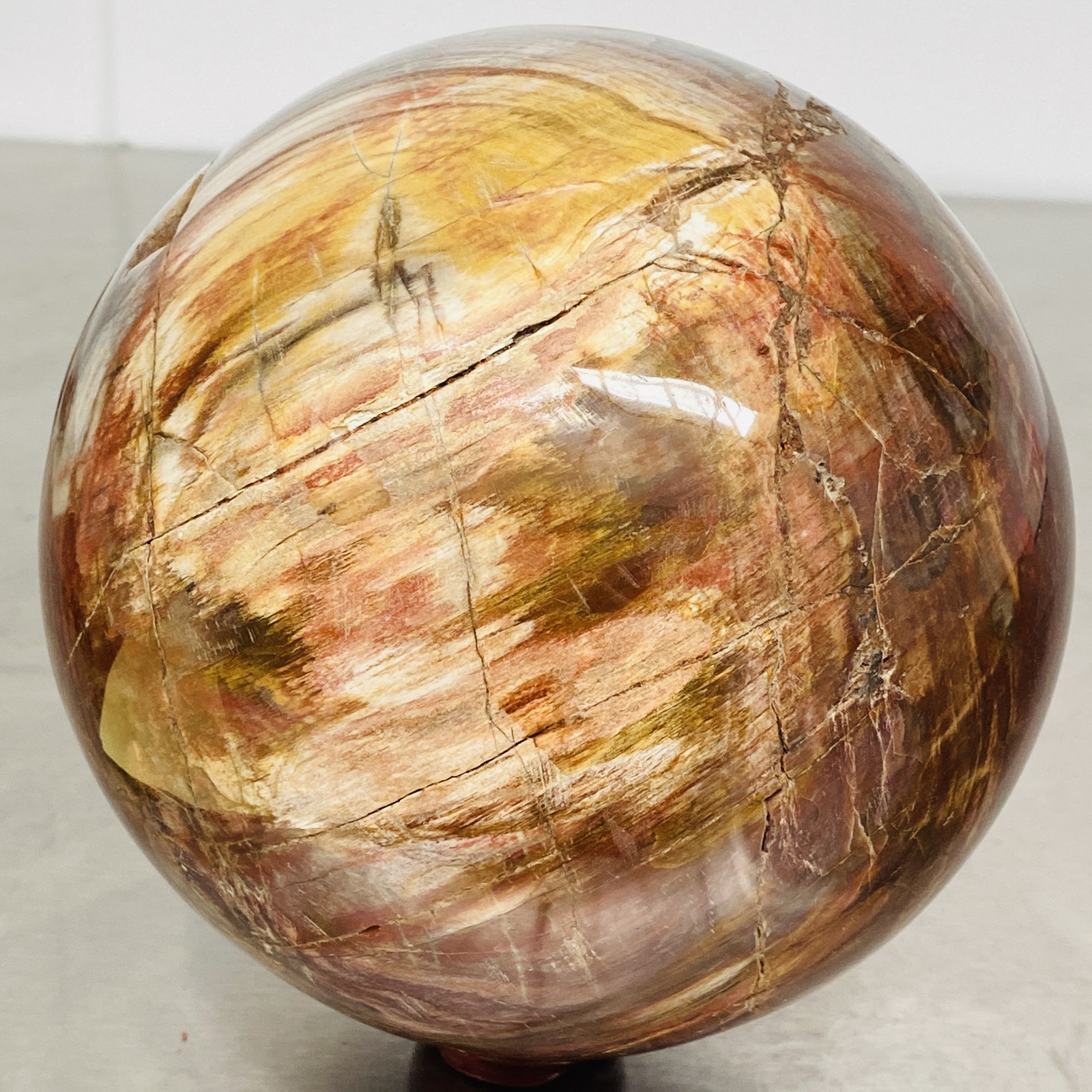 Natural Petrified Wood Polished Stone Quartz Crystal Sphere Ball Healing 3720G