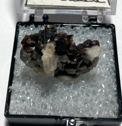 Muscovite and Albite Thumbnail from Brazil