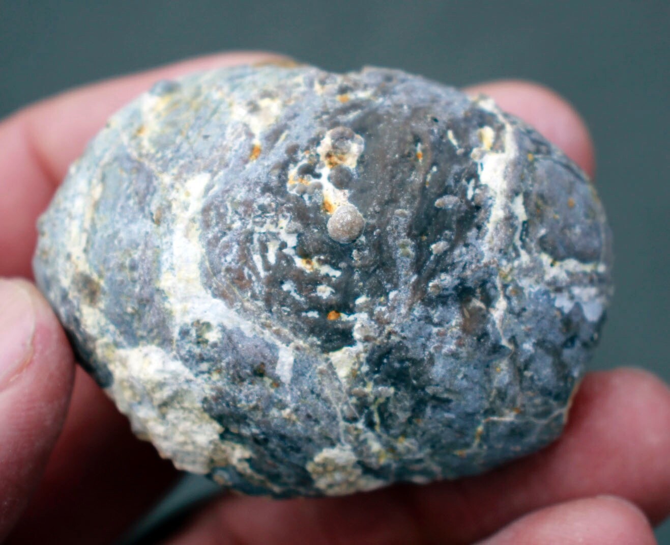 Bag of 50, Whole Dugway Geodes • 2.0″ – 2.5″ diameter