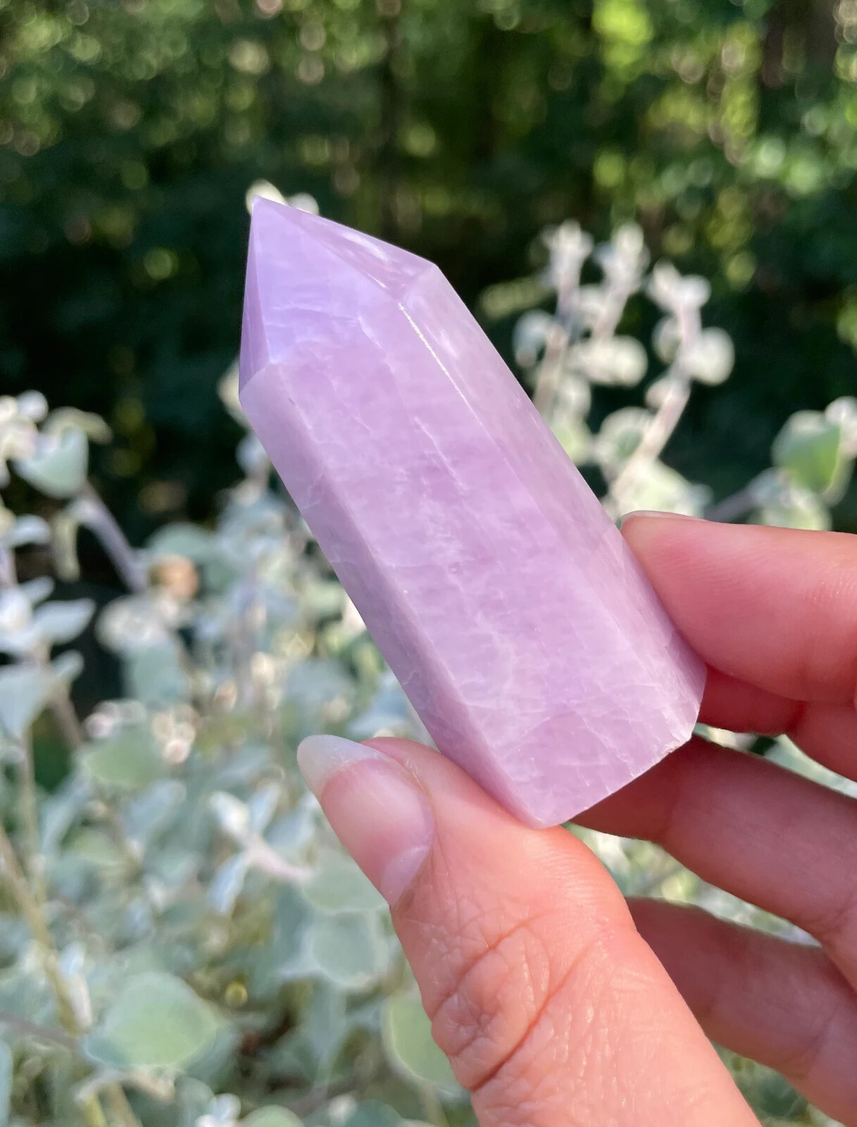 Awesome Lilac Purple Kunzite Point *Flashy *Stone of Emotion *Peace *Calmness