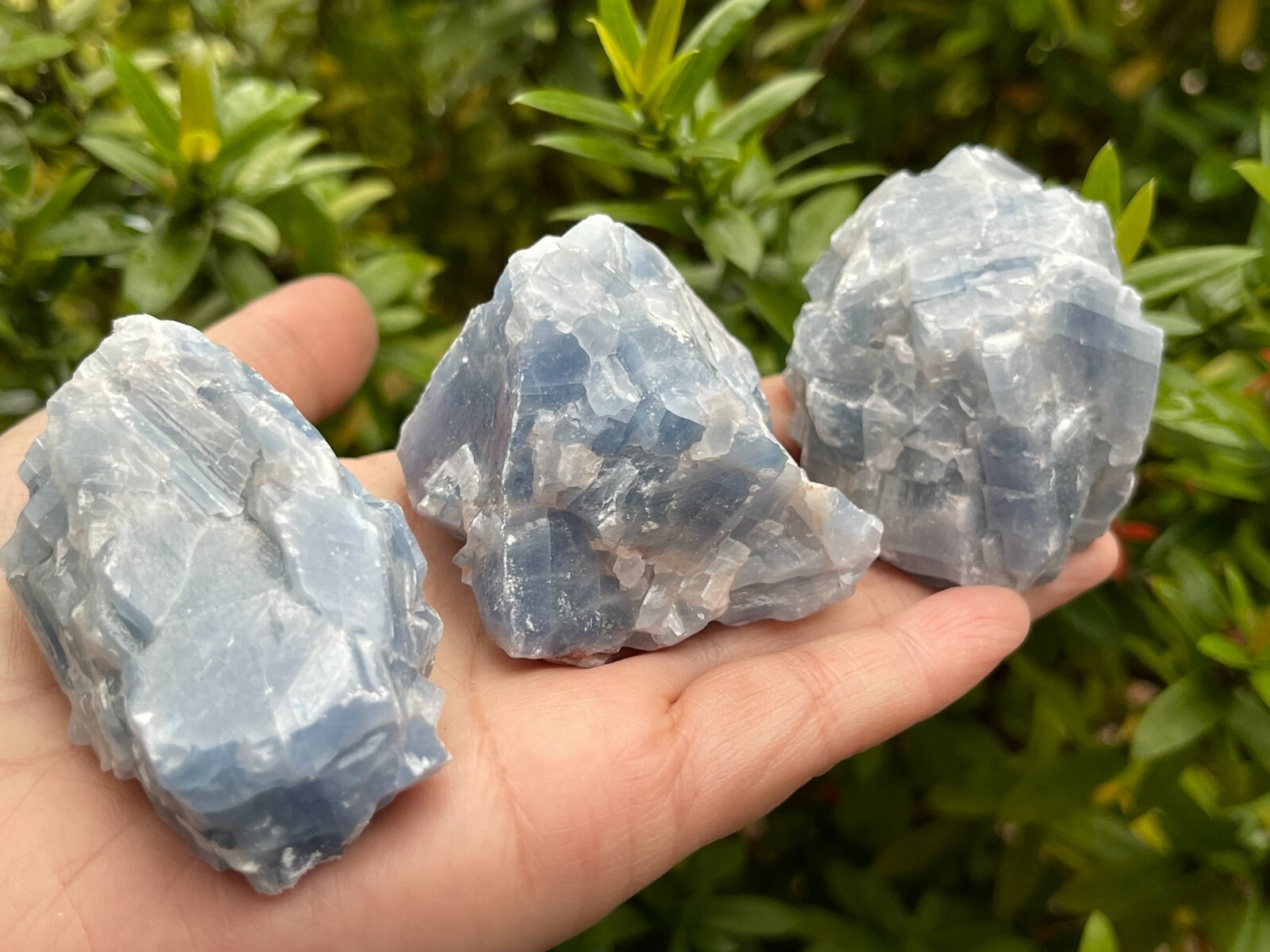 Grade A+ Large Blue Calcite Rough Natural, 2-3″ Blue Calcite, Wholesale Bulk Lot