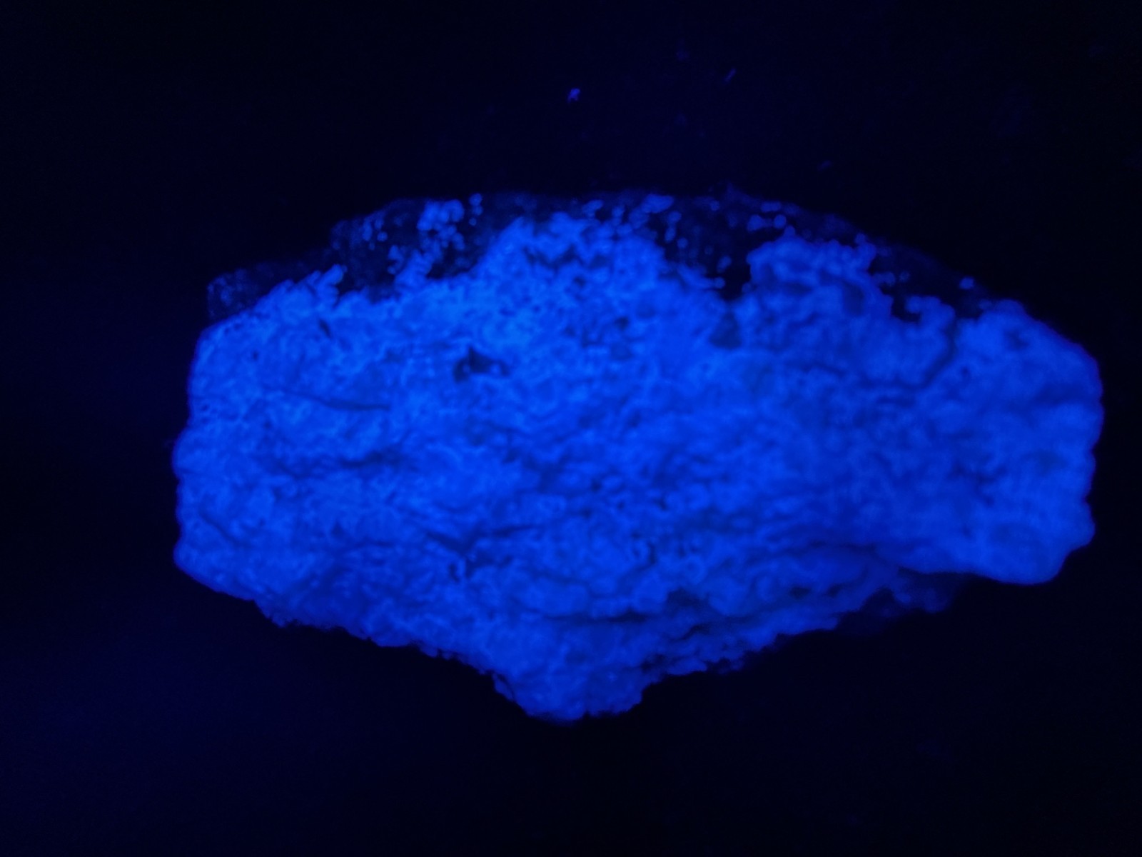 KB: SW FL BRIGHT!! BLUE/WHITE SCHEELITE XLINE. ON GNEISS YUNNAN PROVINCE, CHINA