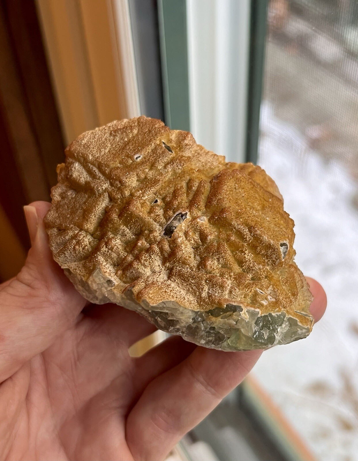Unique Fluorite from Riedingsee Austria *Watch the Video*