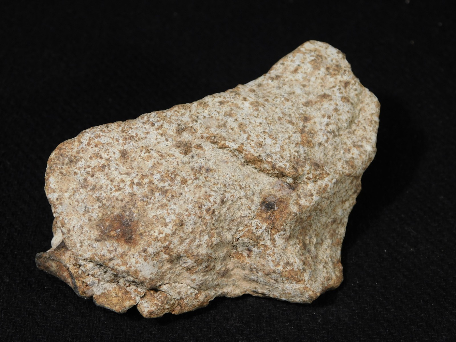 Larger! Classified NWA 8245 METEORITE 100% Natural! Erfoud, Morocco 184gr