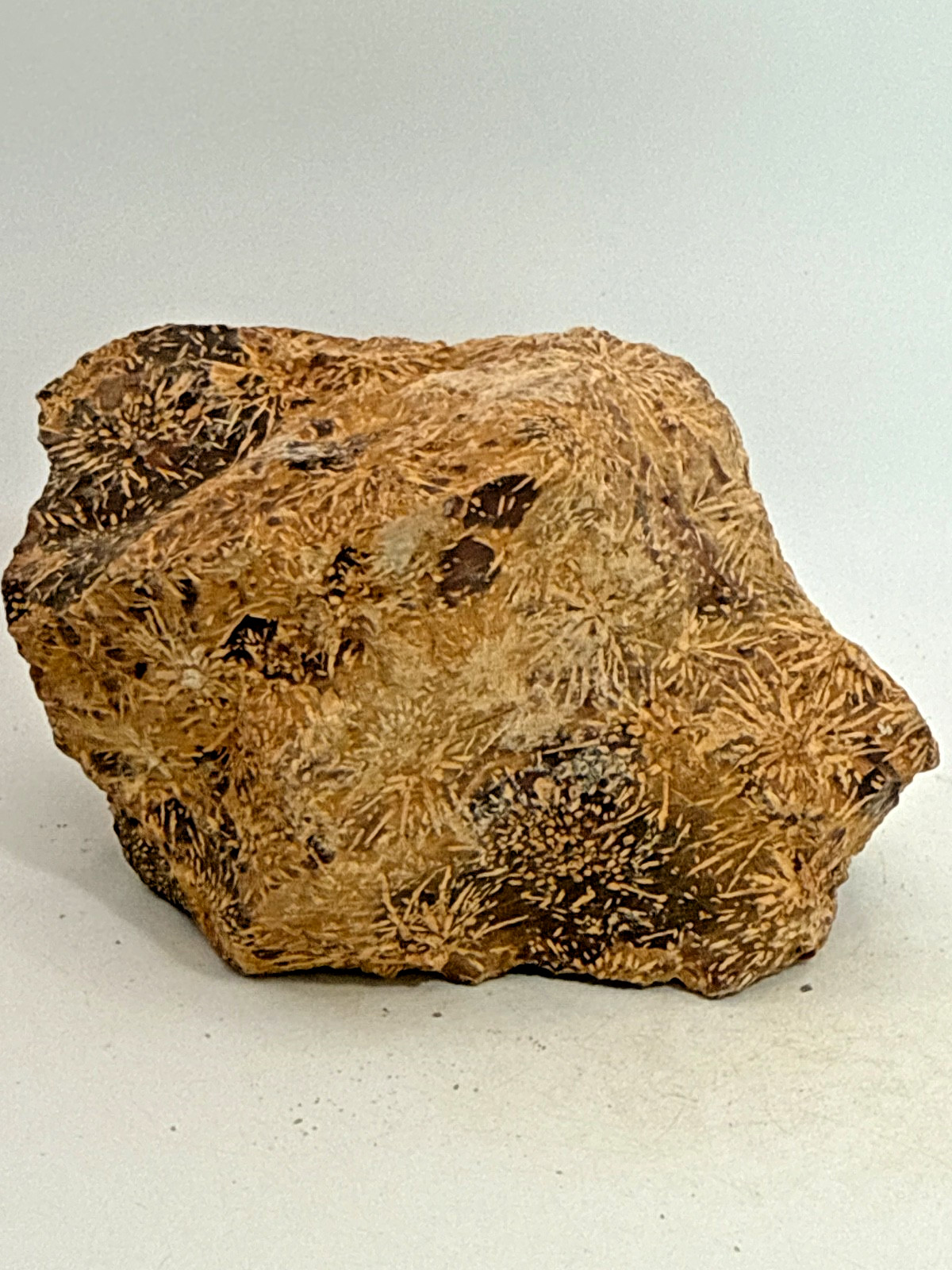 Beautiful Spider Jasper Chrysanthemum Specimen 491 Grams