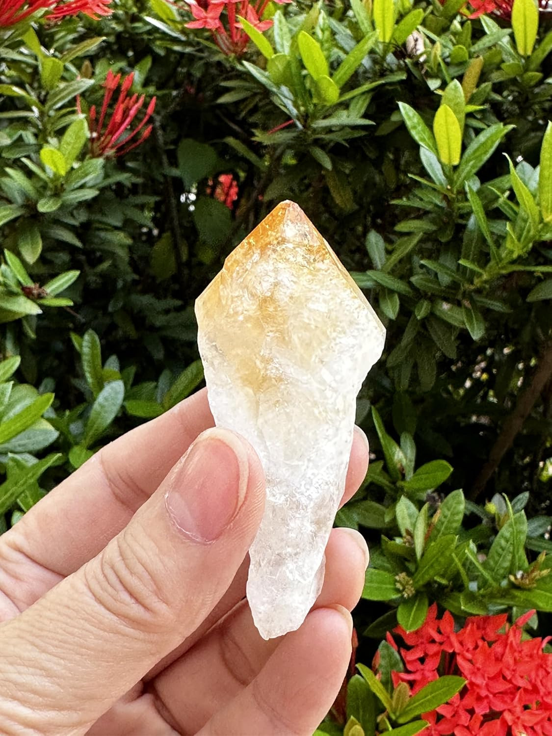 Extra Large Citrine Point, Natural Citrine Point, Citrine Point Healing Crystals