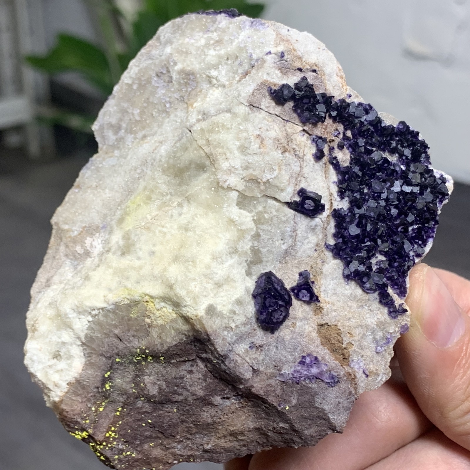 248G Rare transparent purple cubic fluorite mineral crystal sample/China