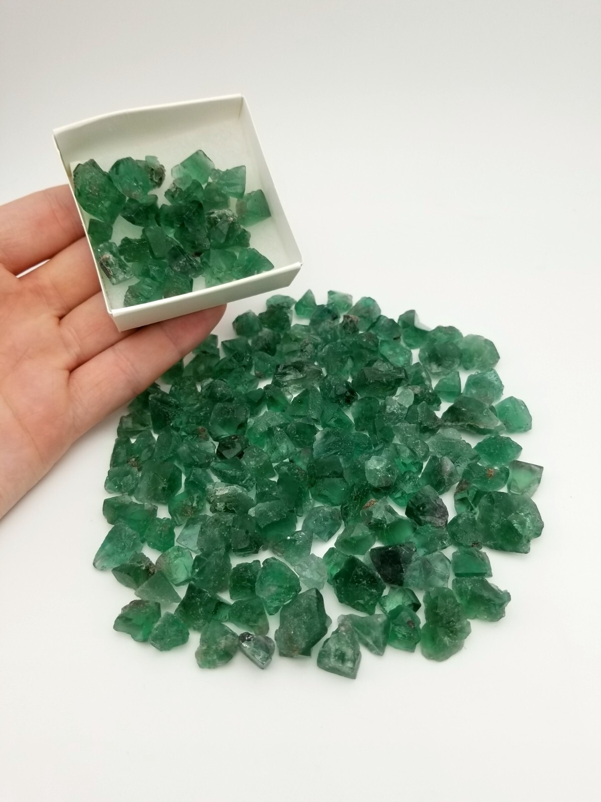 Rogerley Mine Fluorite 25g LOT Diana Marie Mine, UK Color Changing Fluorite