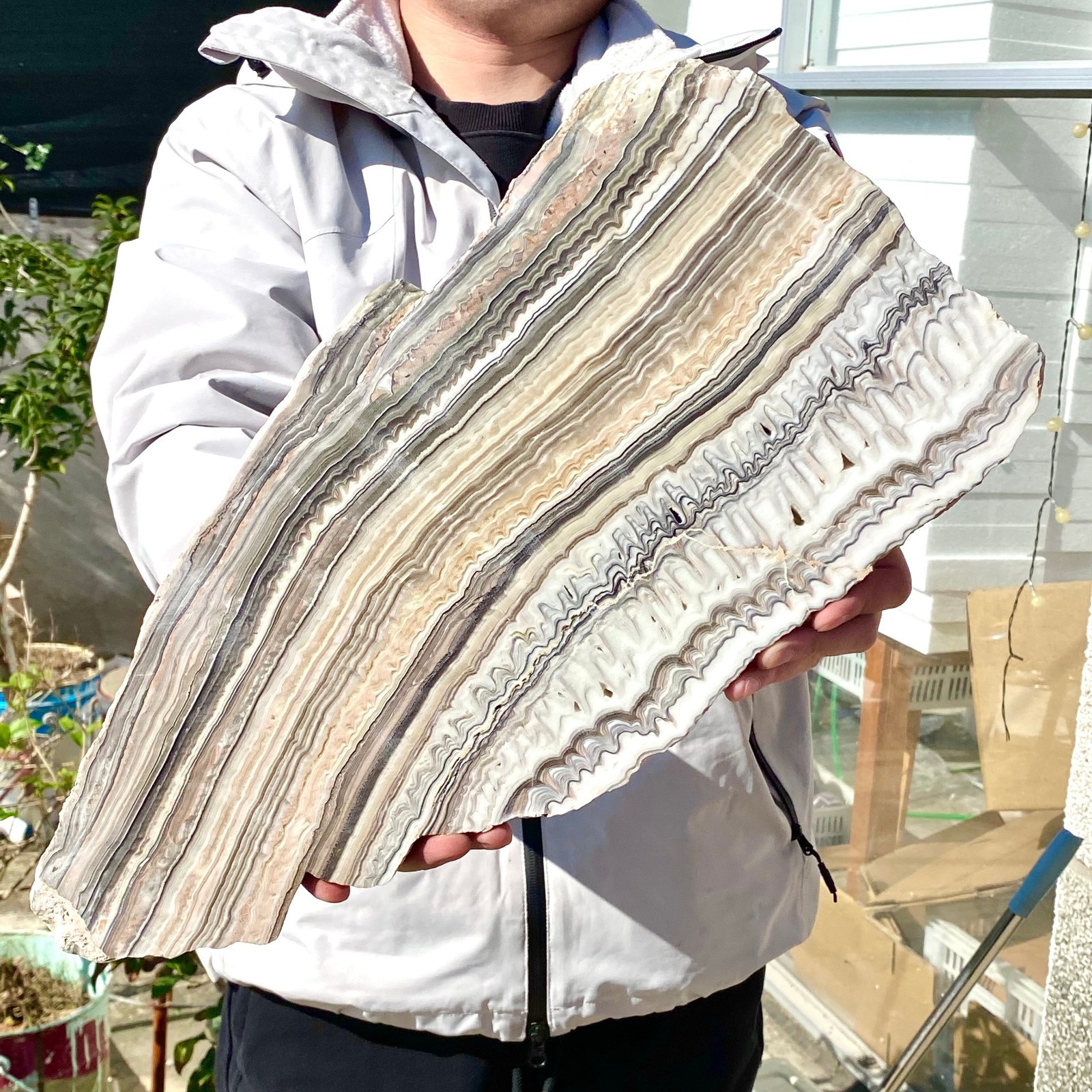 6LB Natural agate, zebra stone, crystal mineral, cut and polished in flakes