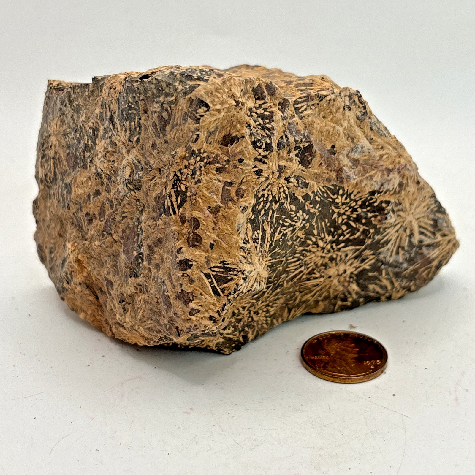 Beautiful Spider Jasper Chrysanthemum Specimen 352 Grams