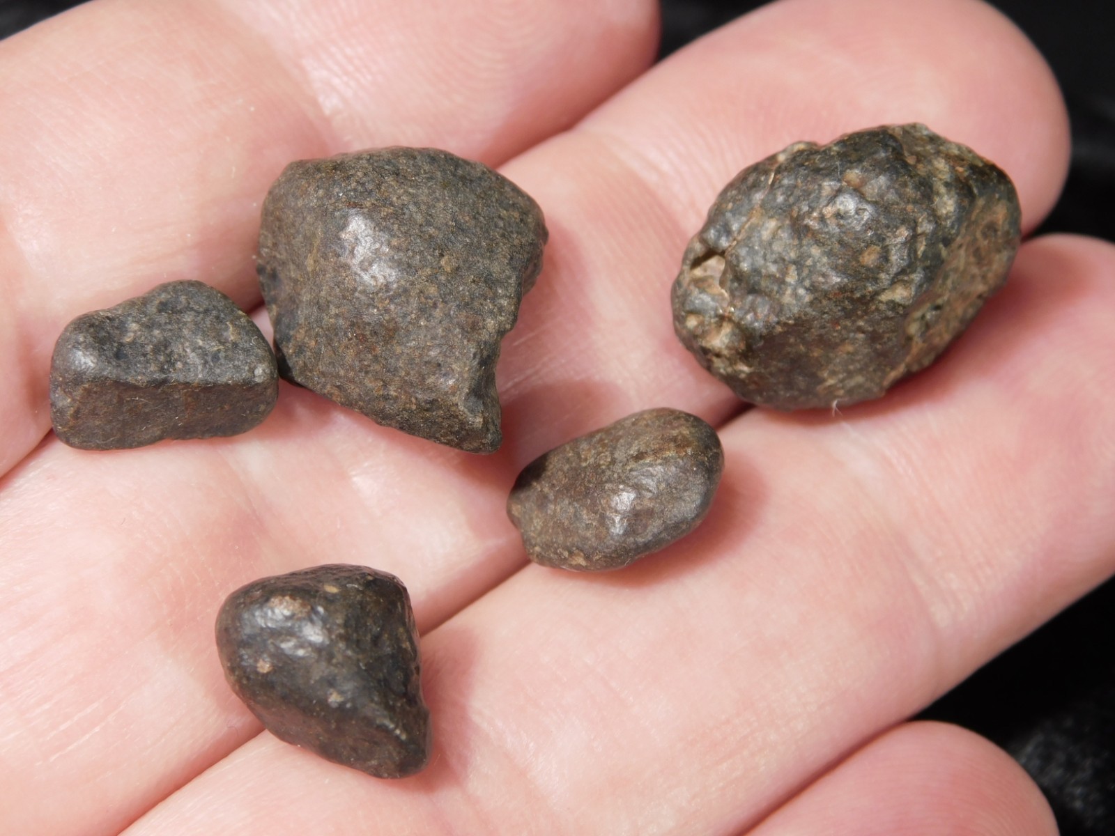 Lot of FIVE! Little 100% Natural N.W.A. Stony METEORITES Algeria 13.2gr