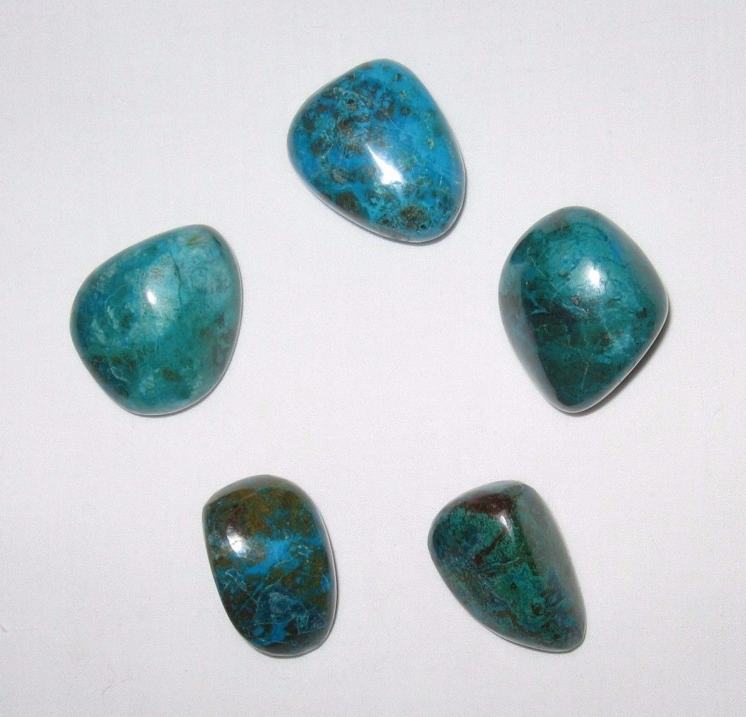 1 Chrysacolla Tumbled Gemstone A Grade XL 1-1/16″ – 1-5/16″ Hand Polished Peru