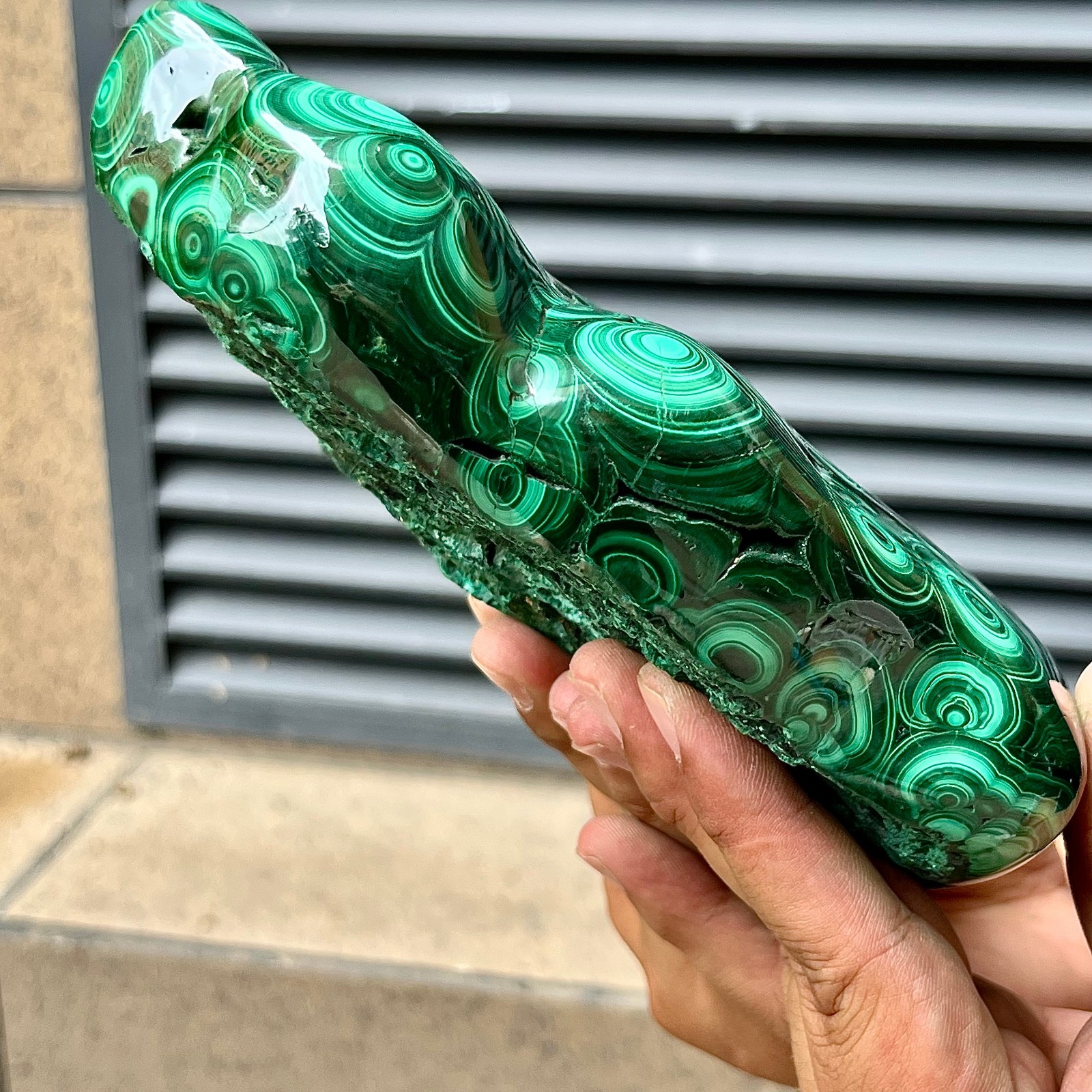 Natural Malachite Stone Polished Slab Bull Eye Pattern Display Decor 7.1 lb