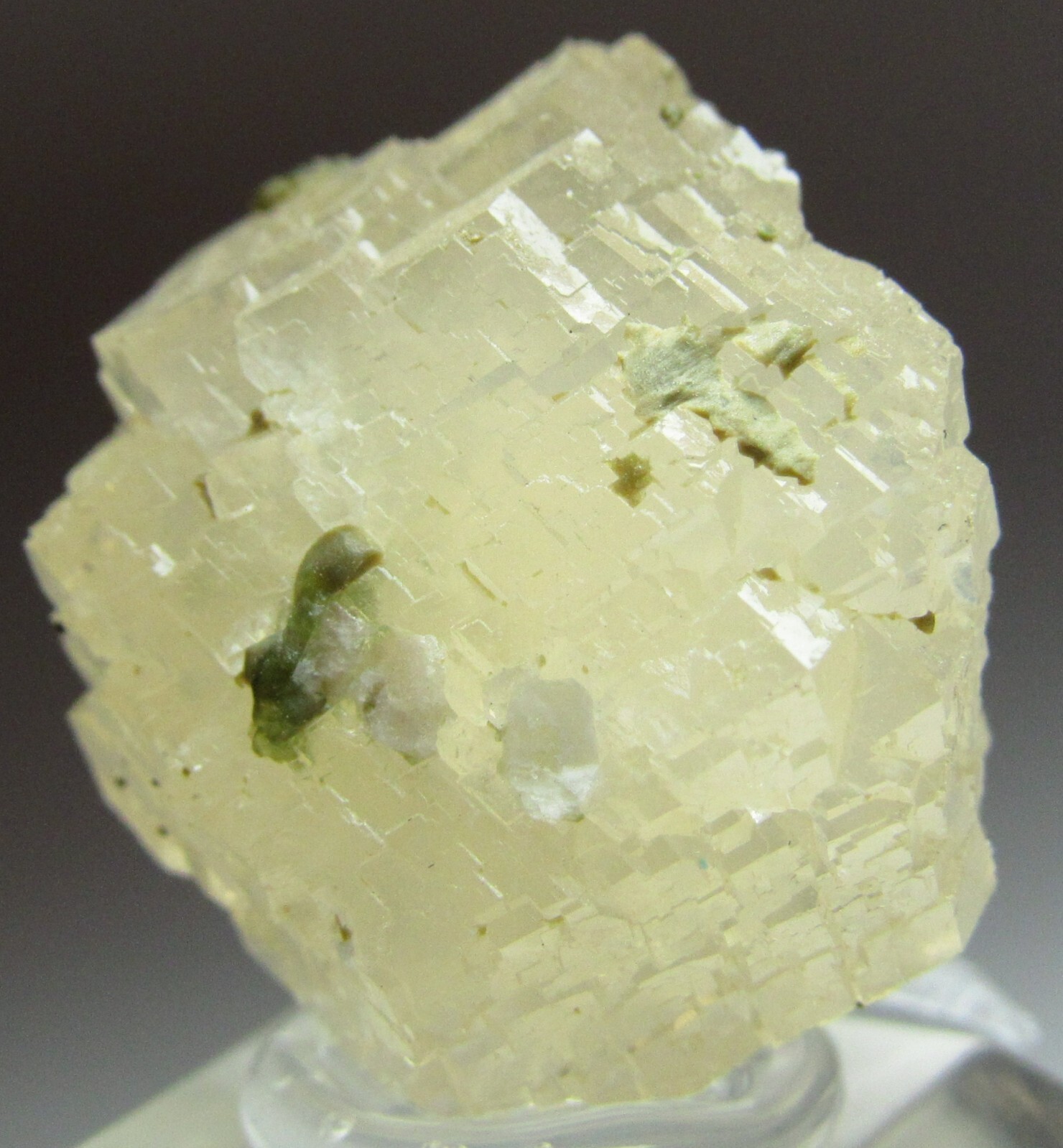 PHENOMENAL GEOMETRIC GLASSY GROSSULAR GARNET CRYSTAL!!! JEFFREY MINE CANADA
