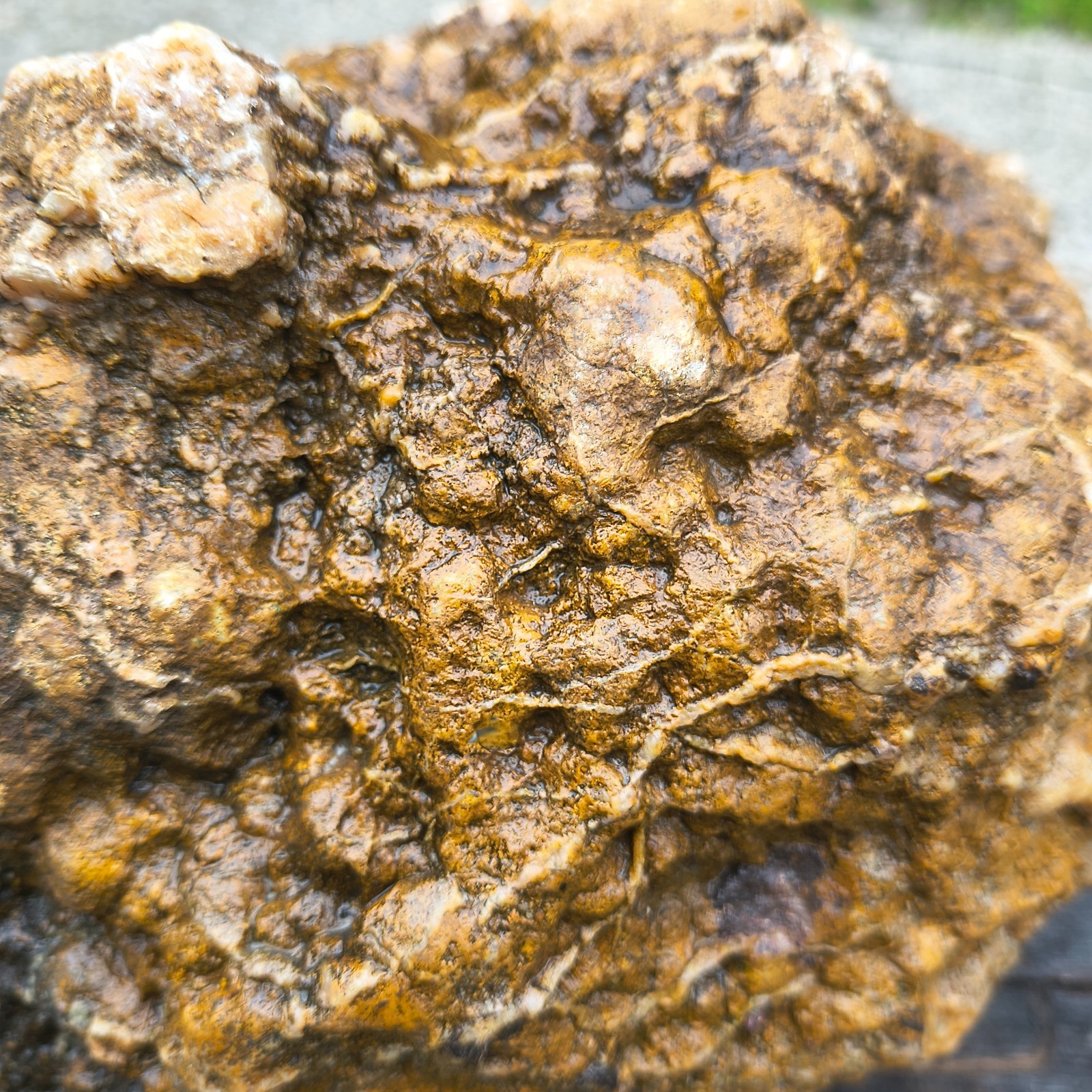 Large Kentucky Geode Natural Unopened Crystal Geode Collector Specimen