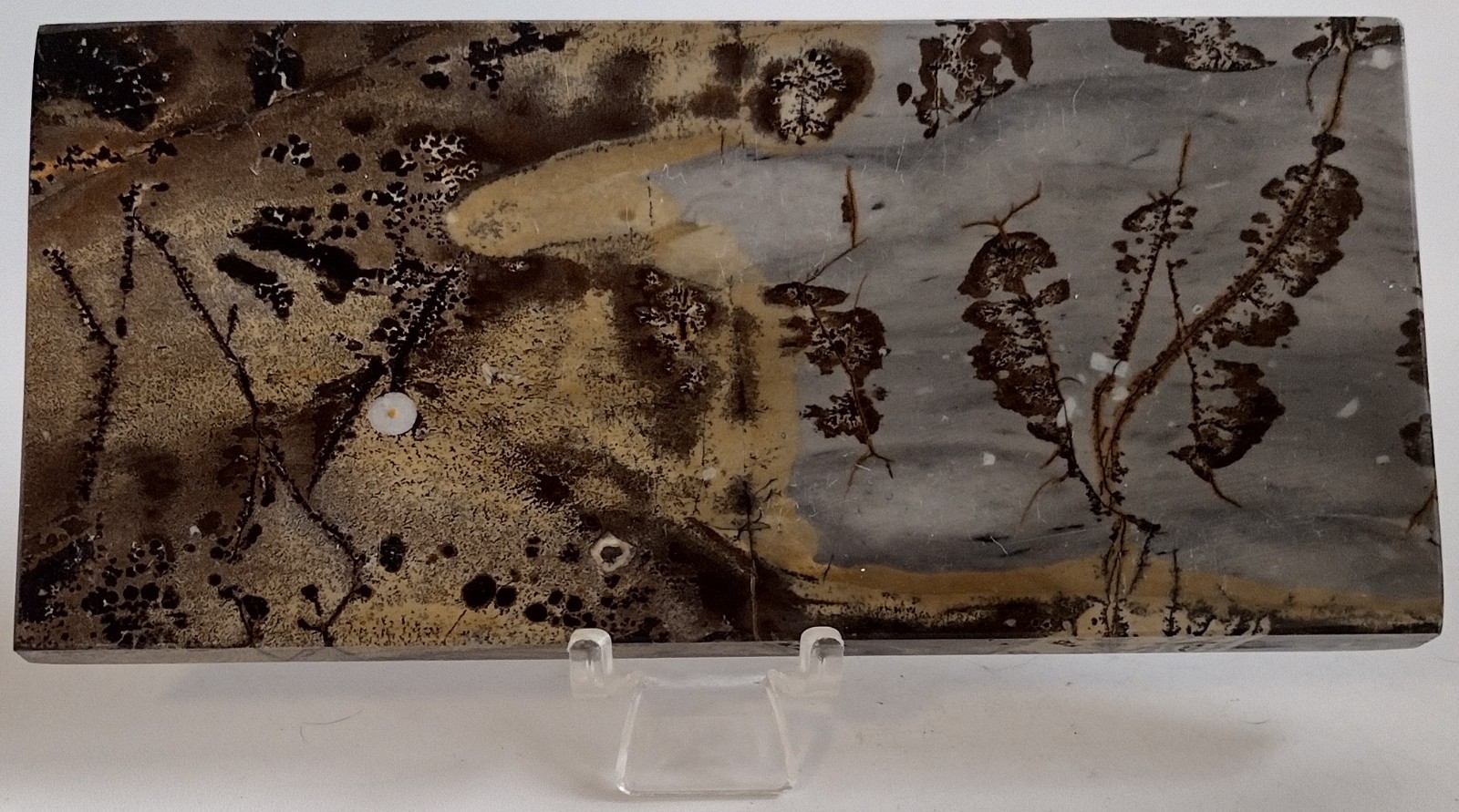 Picture Jasper Slab w/ Stand Scenic Landscape Polished Stone Display Decor