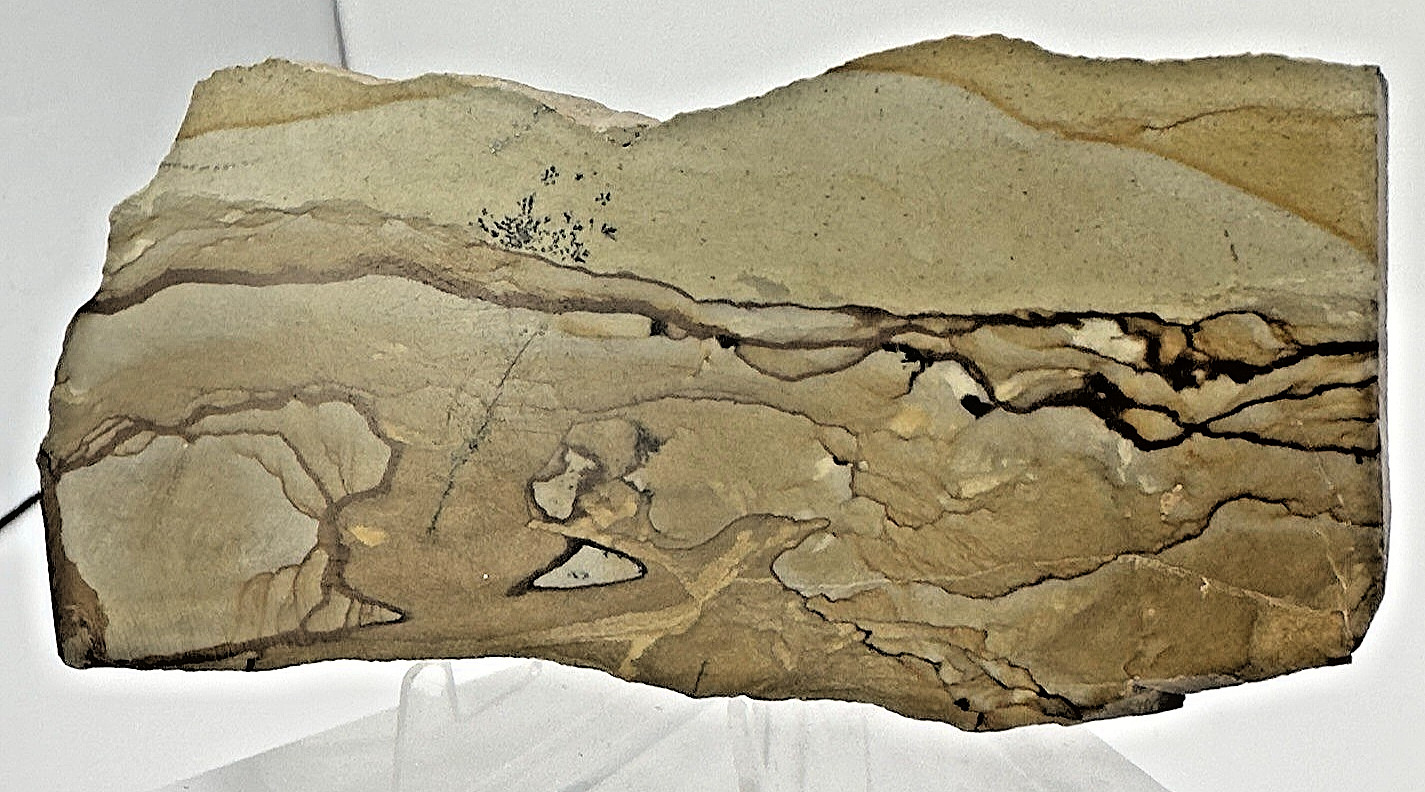 3) Rare Polished Ohwlee Picture Jasper Slab 4.75″ Display Specimen 2.25 oz