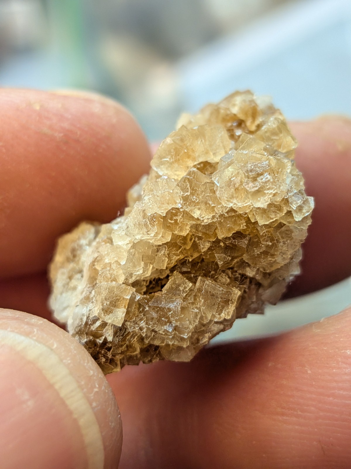 Brown Fluorite Cluster with Quartz Fluorescent Western Kentucky USA