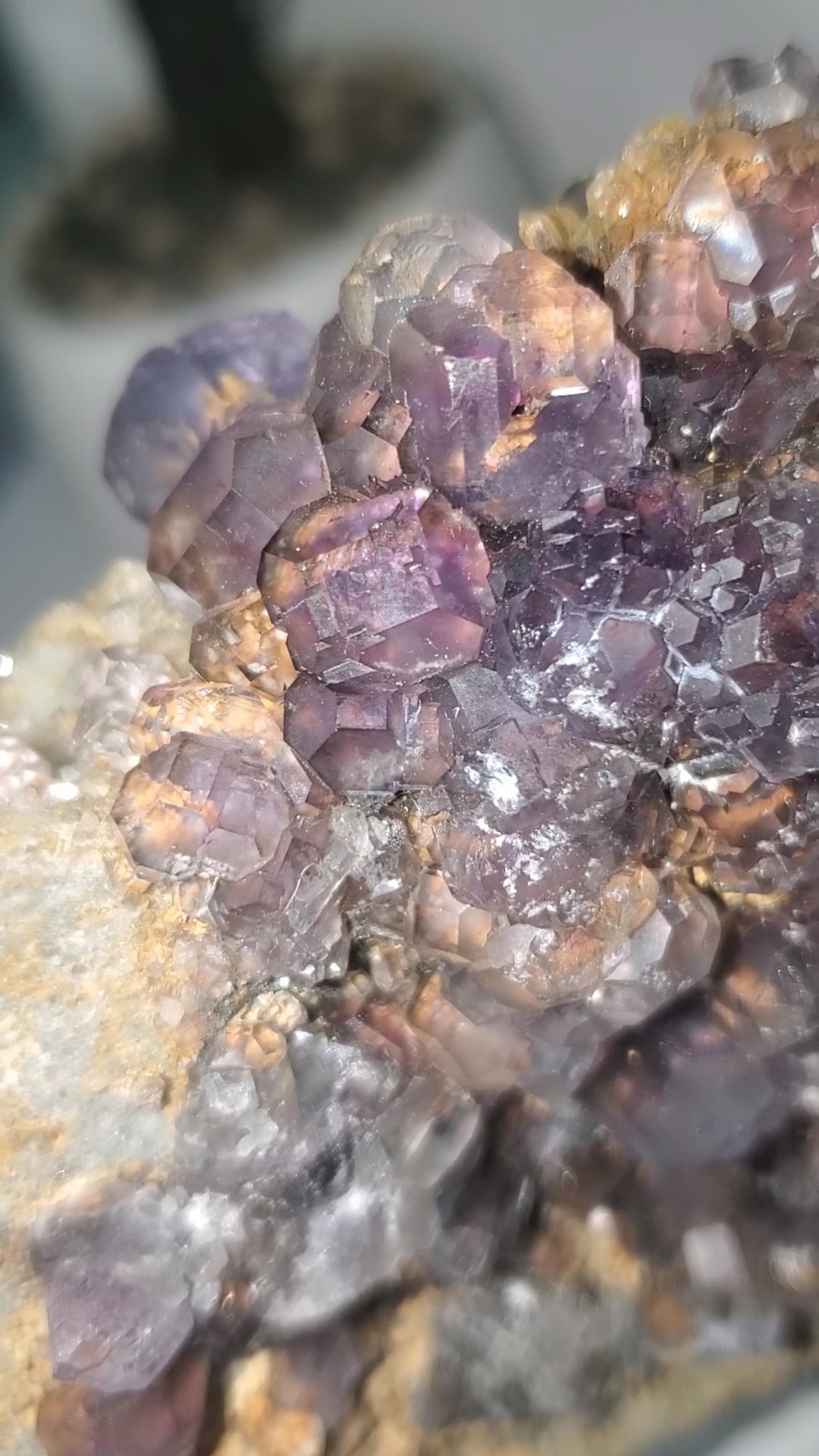 Tanzanite Fluorite On tan-colored quartz-rich matrix Statement PEACE 1KG 210G
