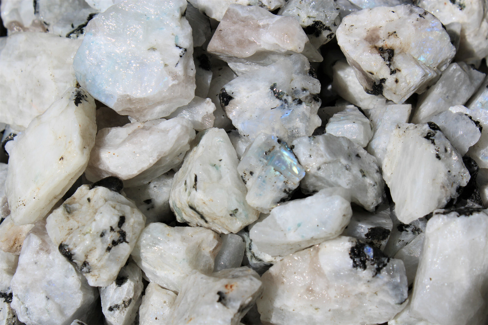 1/2 lb Bulk Lot Natural Rough Rainbow Moonstone Crystals (Raw Reiki Rocks 8 oz)