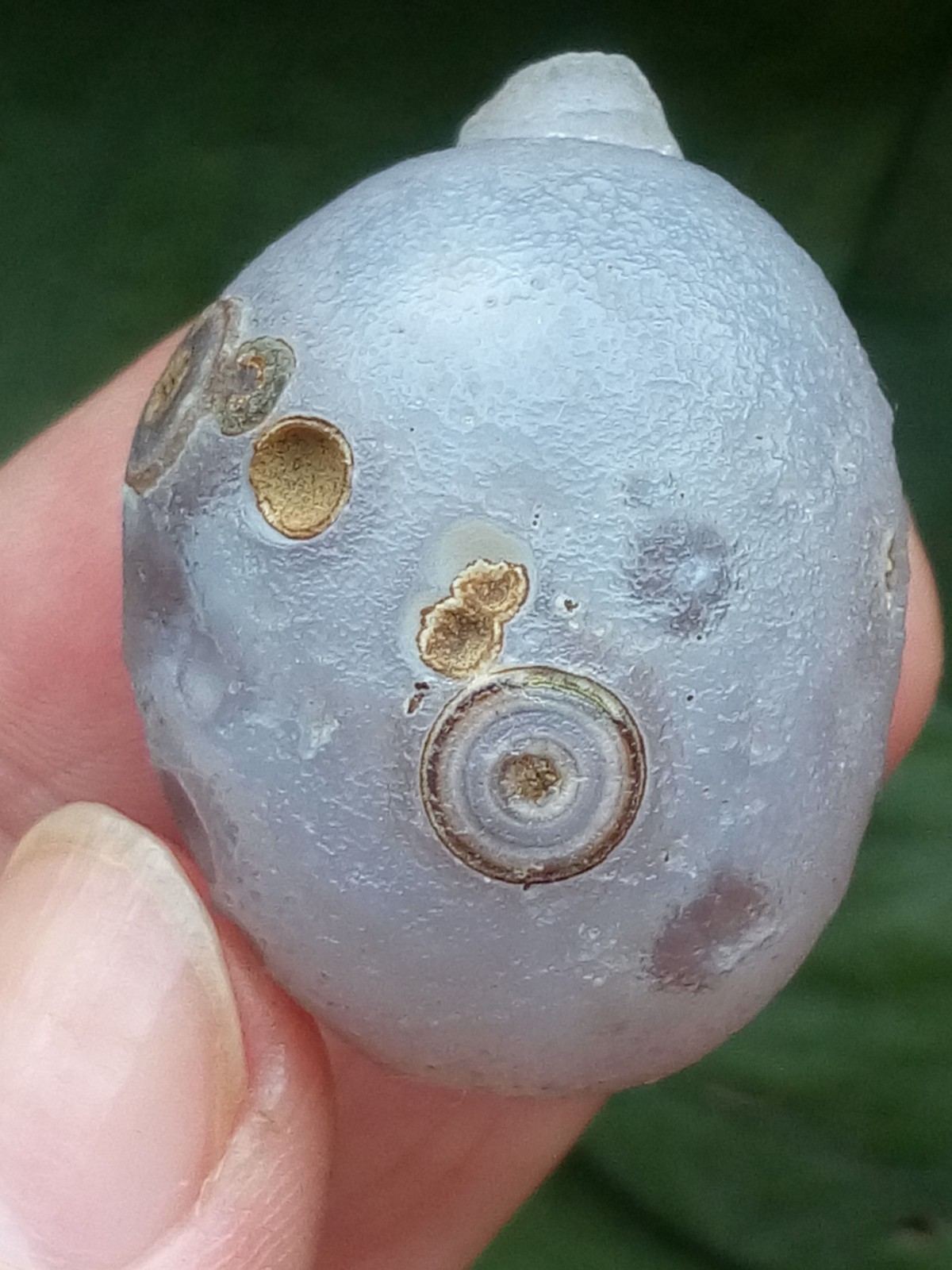 36mm Beautiful Natural agate Gobi agate eye agate stone cute collection