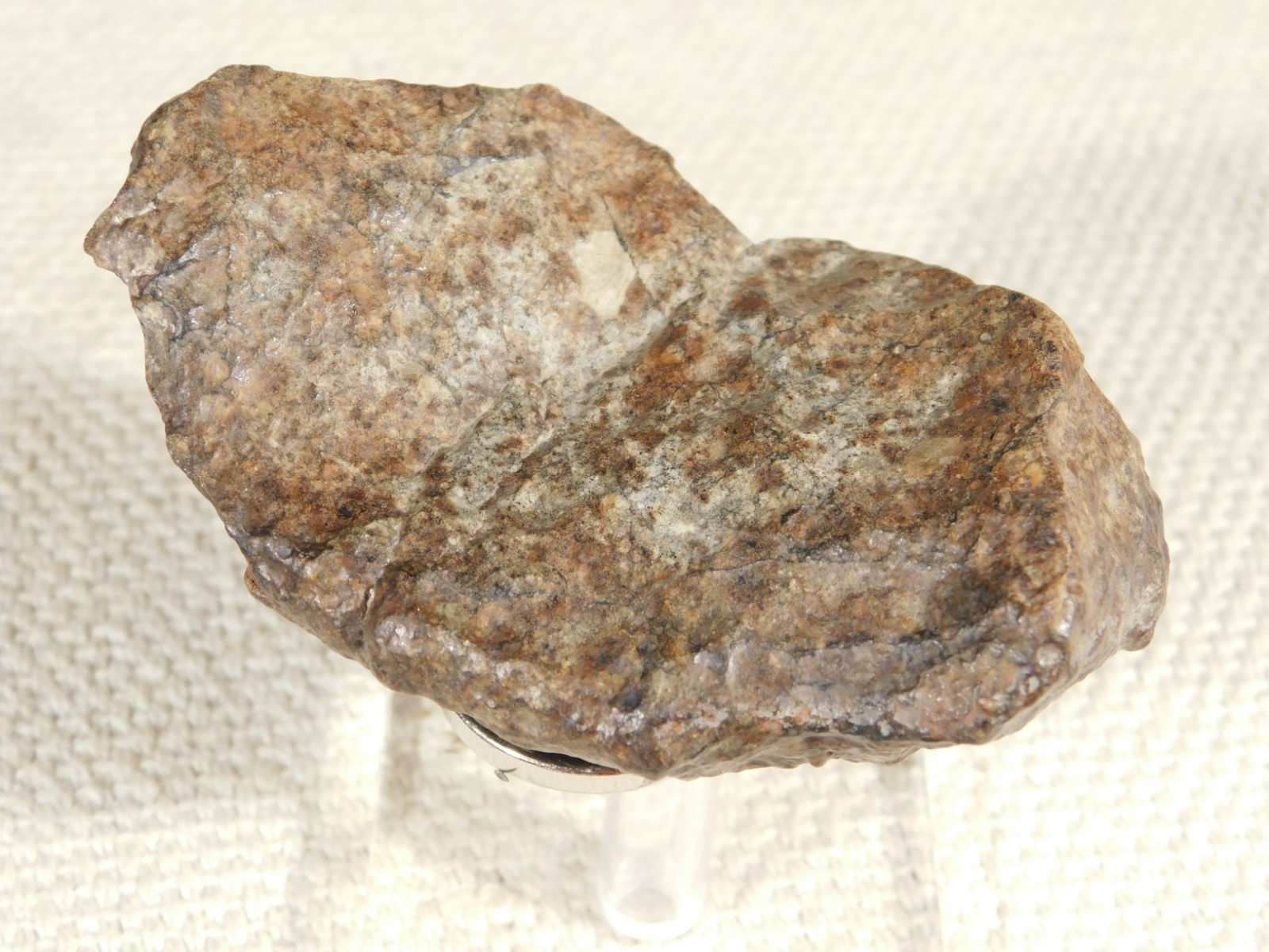 Larger N.W.A 869 Stony METEORITE with Dark Fusion Crust 197gr