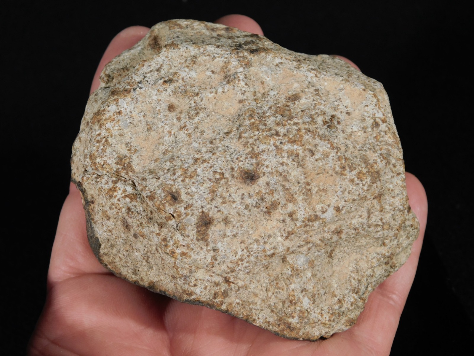 Larger! CLASSIFIED NWA 8245 METEORITE with Dark Fusion Crust Erfoud, Morocco 471