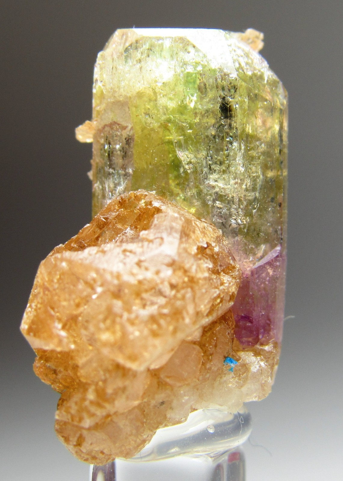 ELEGANT ULTRA RARE COMBO VESUVIANITE, GROSSULAR, DIOPSIDE!!! JEFFREY MINE CANADA