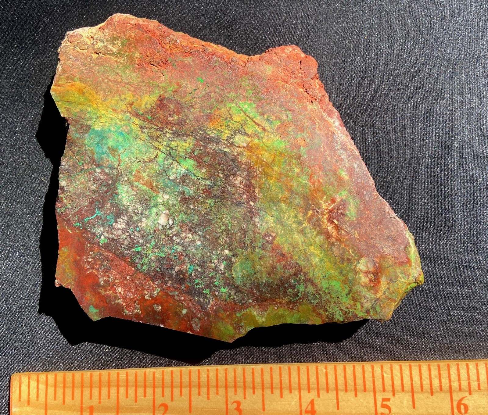 Parrot Wing Chrysocolla Colorful AA Big Slab Untreated No Cracks 212 Gram 7.5 Oz