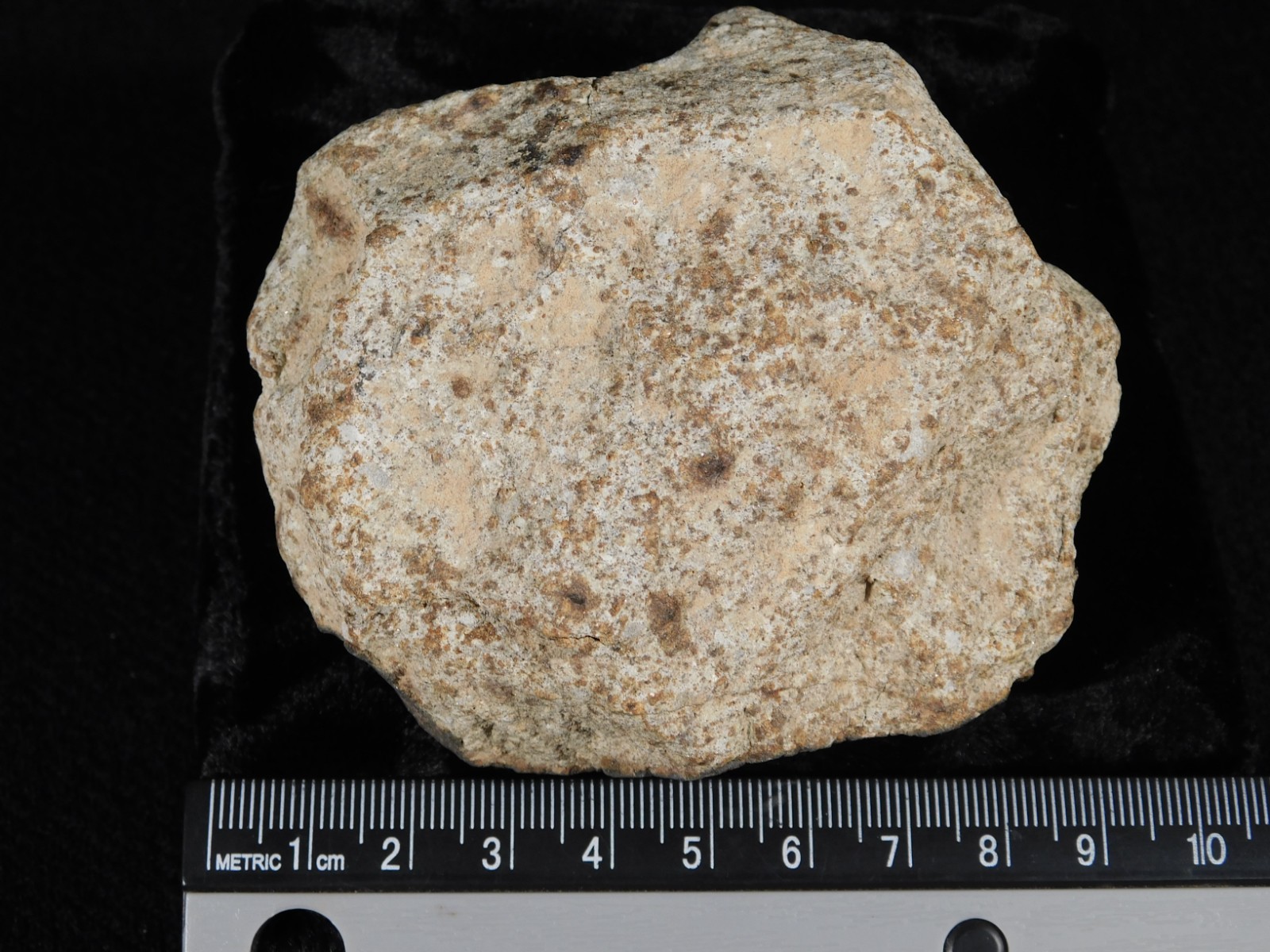 Larger! CLASSIFIED NWA 8245 METEORITE with Dark Fusion Crust Erfoud, Morocco 471