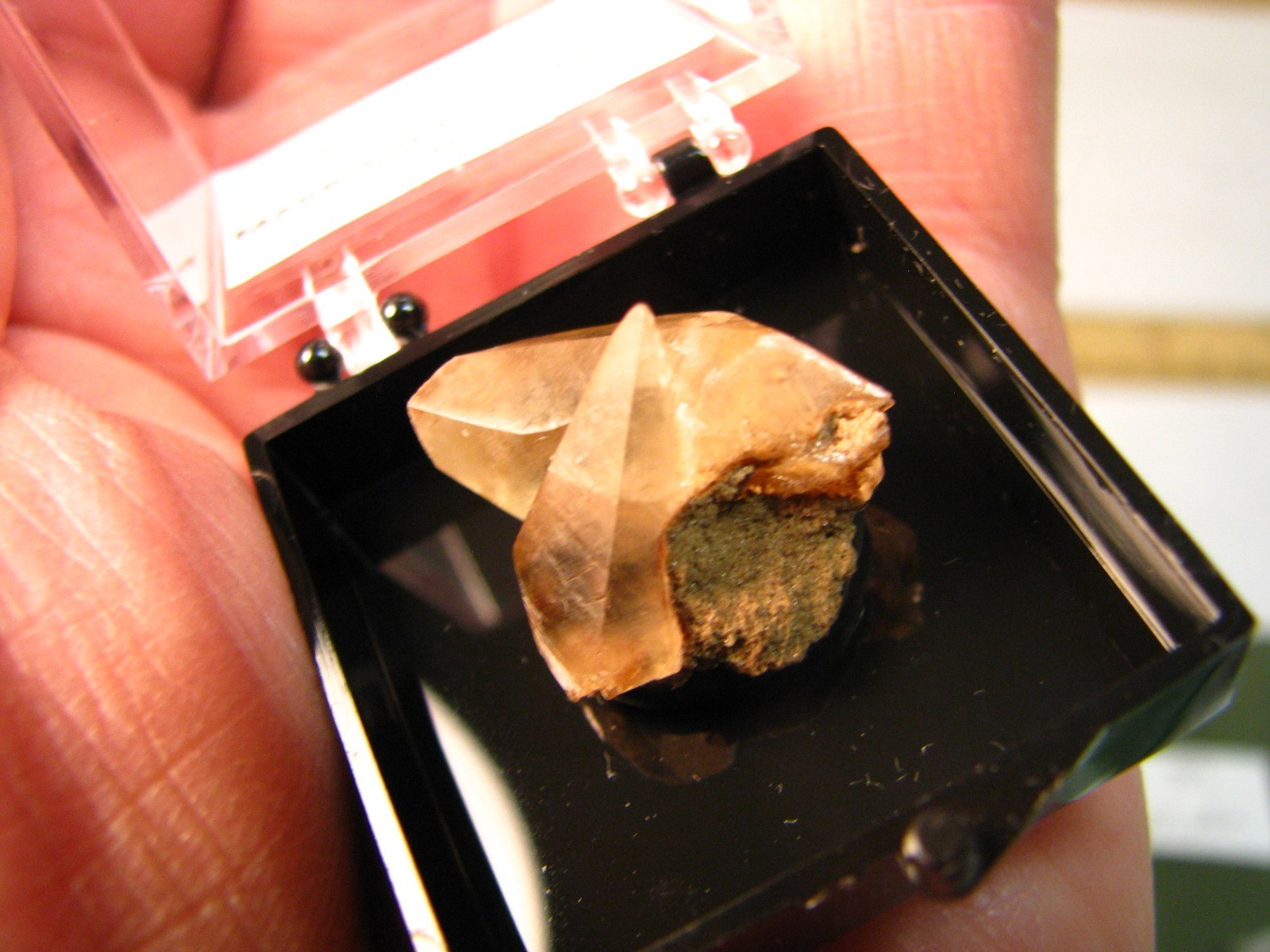 GOLDEN DOGTOOTH CALCITE CRYSTALS THUMBNAIL IN CASE MARBLEHEAD QUARRY OHIO #037
