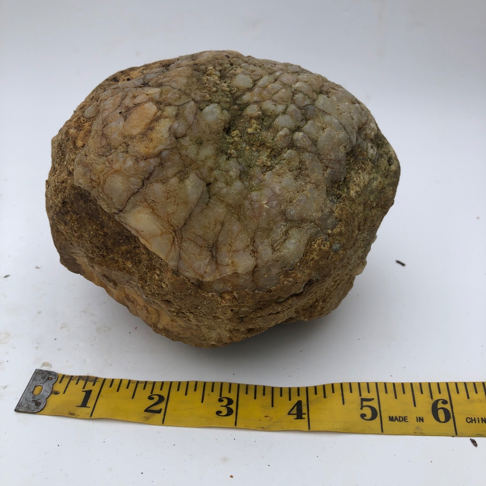 4 lb Unopened Kentucky Geode Rattler Break Your Own Hand Picked Natural Quartz