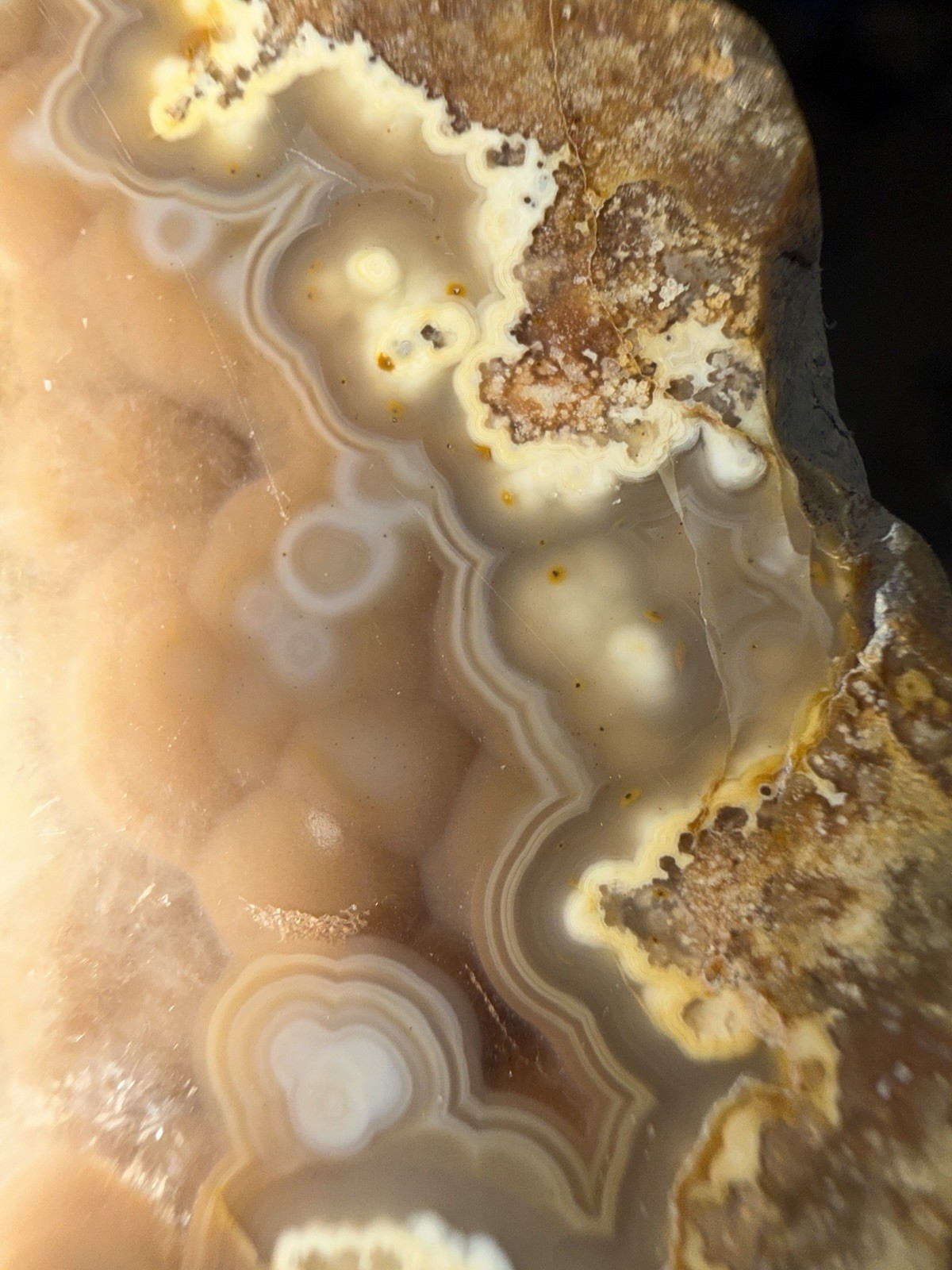 5 Mirror Polished Kentucky Agate Specimens. Nice Variety Fortifications Banding