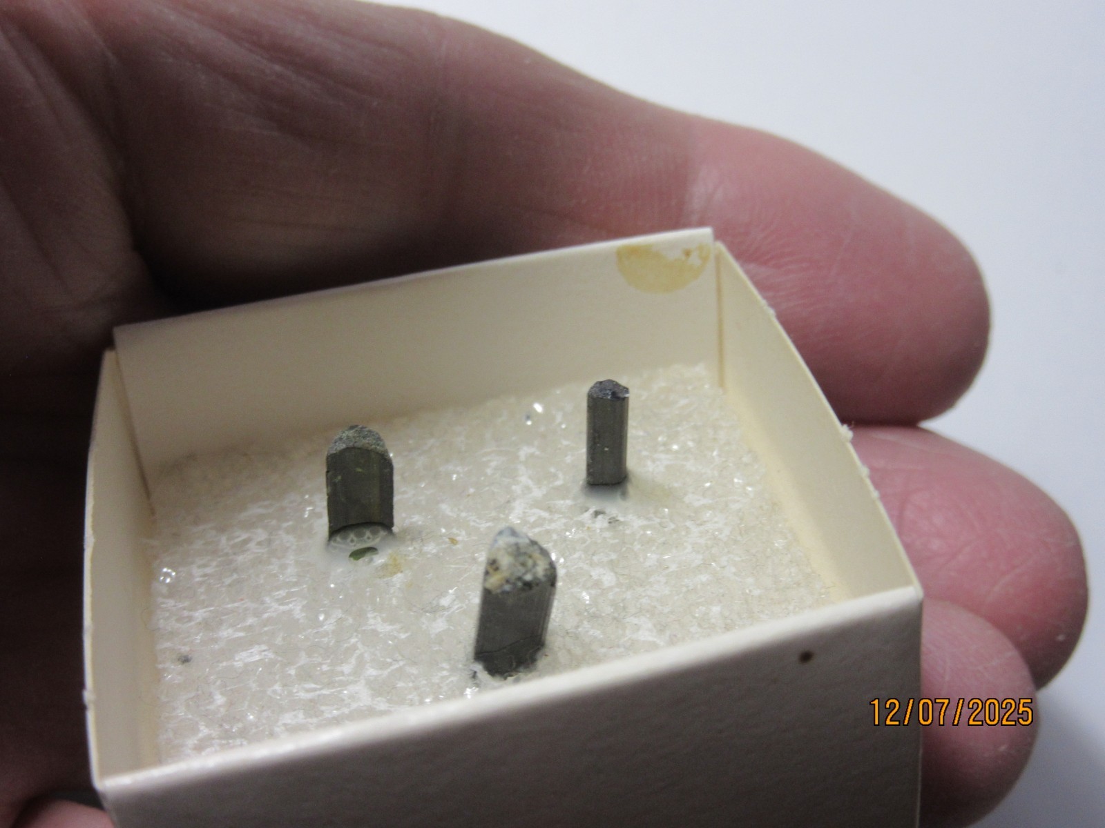 3 Green Tourmaline Crystals Brazil Thumbnail 1 5/8″ Display TGTCBTD-1s