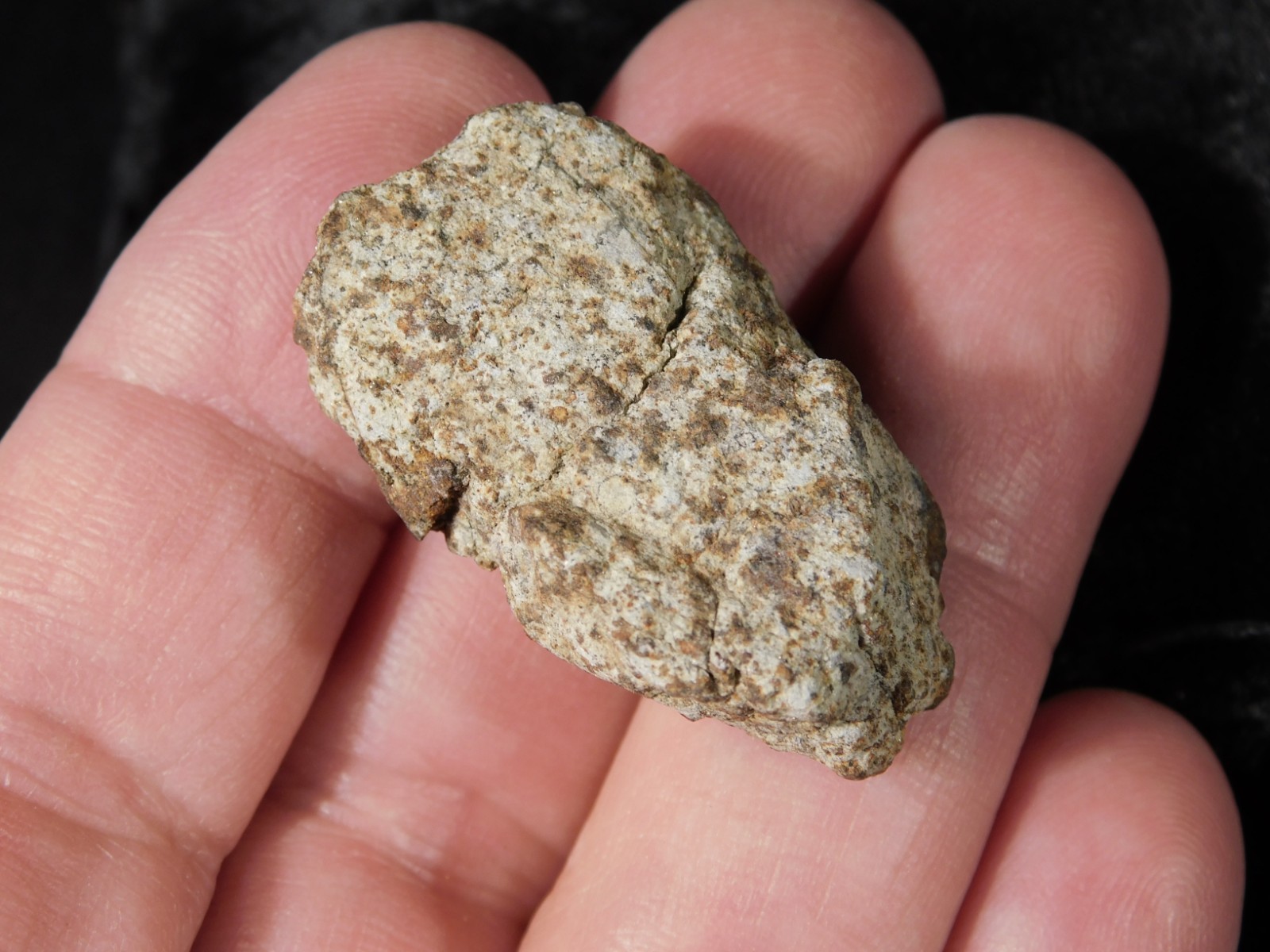 Classified NWA 8245 METEORITE Spots of Dark Fusion Crust! Erfoud, Morocco 21.0gr