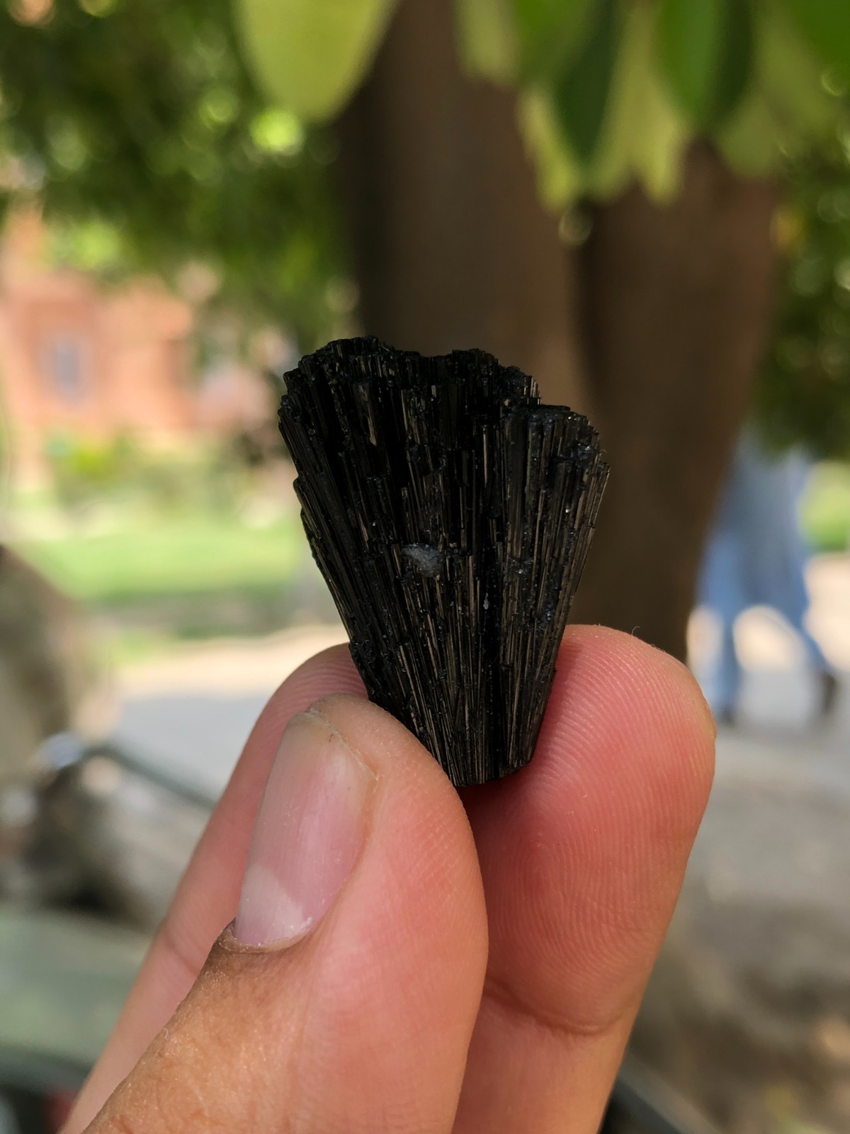 Black Tourmaline Termination Crystal Specimen From Pakistan 10.70 G