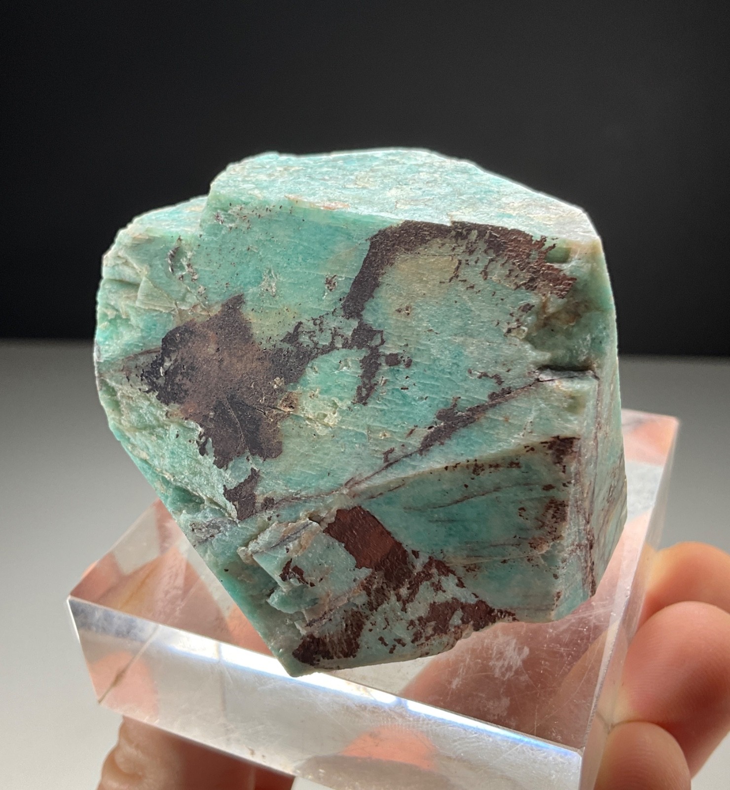 XL MICROCLINE VAR. AMAZONITE FROM LAKE GEORGE, COLORADO