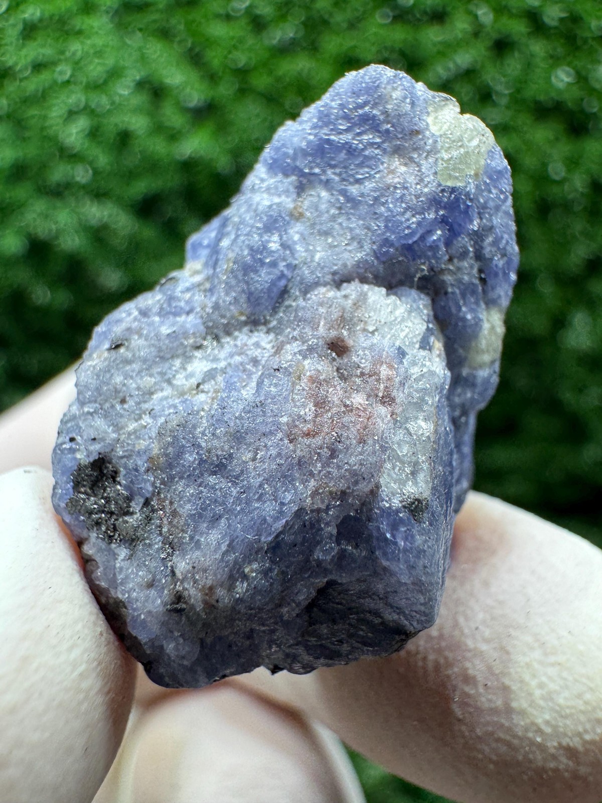 Lovely TANZANITE Crystal with COLOR CHANGE under yellow/white light / F222