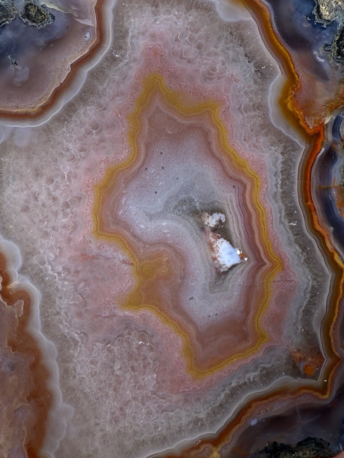SEE VIDEO High-Grade Multicolor Moroccan Agate | High Atlas | Collector Specimen