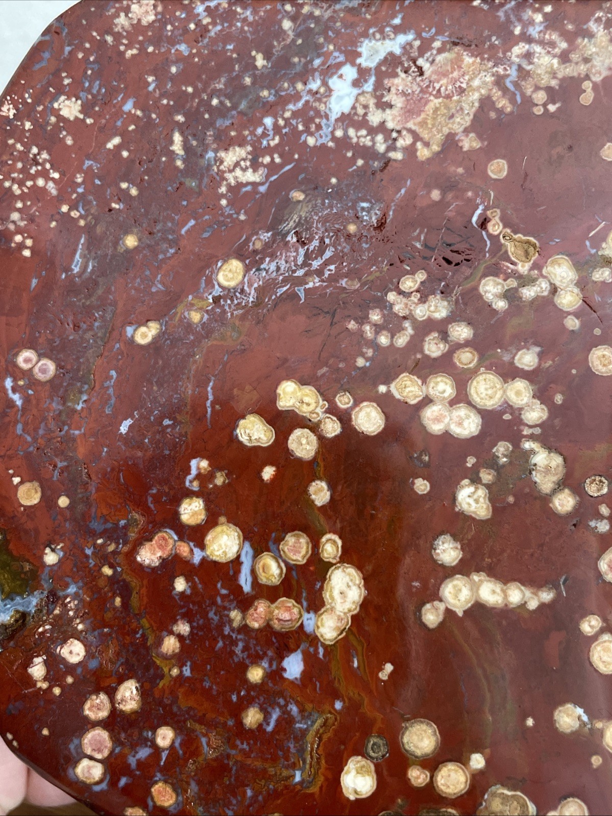 Red Orbicular Jasper – Carved And Polished – Display Piece Or Cabochon Material