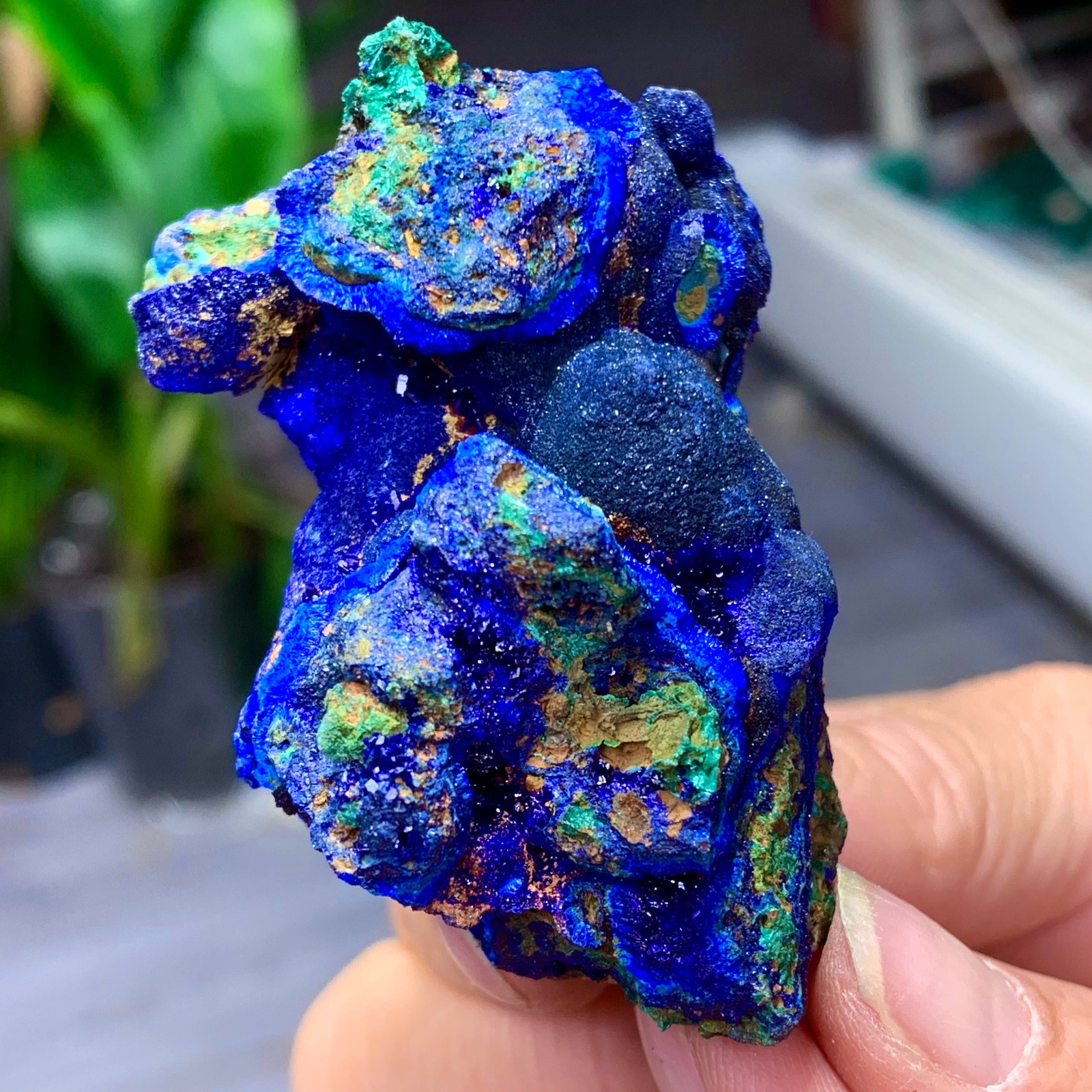 102G BEST Natural Azurite/Malachite crystal minerals specimens