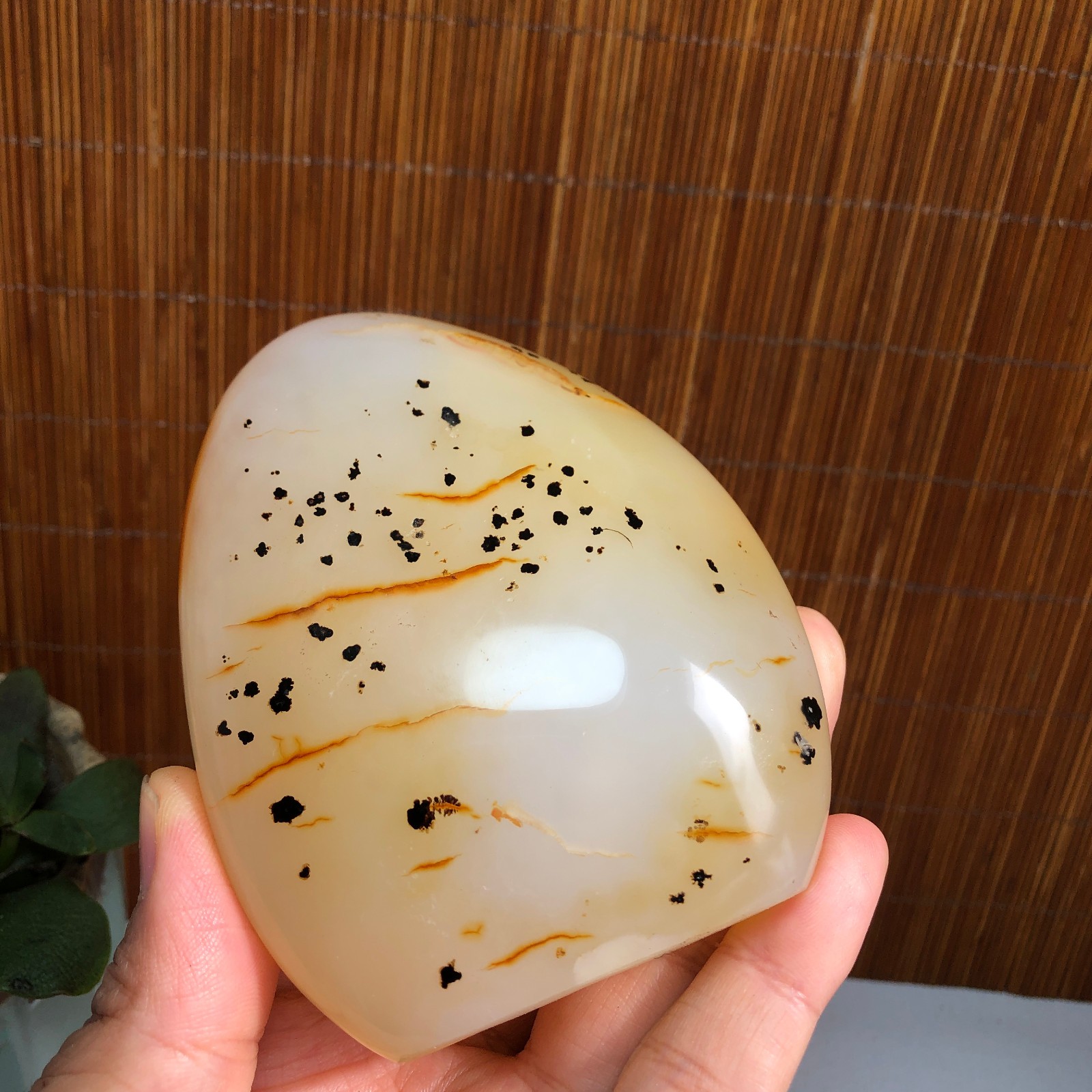 Natural aquatic plants agate pretty Crystal specimens free standing 288g A1487