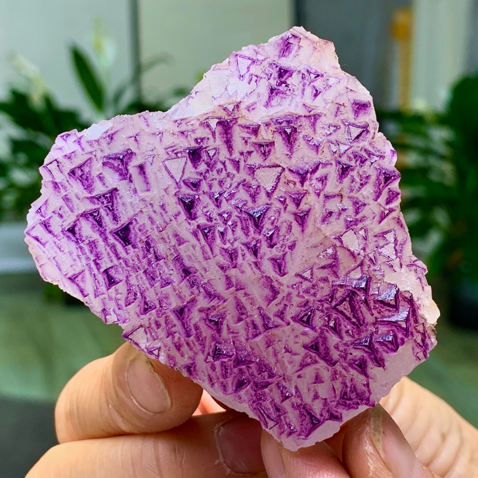 153G Natural fluorite purple edged cubic crystal mineral sample