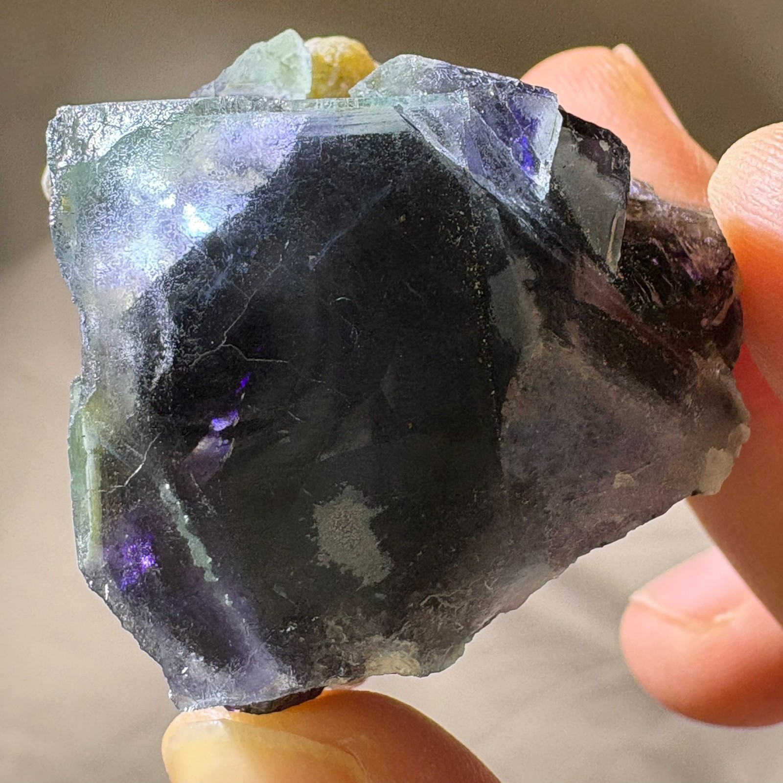 Natural Phantom Fluorite w/ Green Mica Raw Mineral Specimen w/ Acrylic Stand