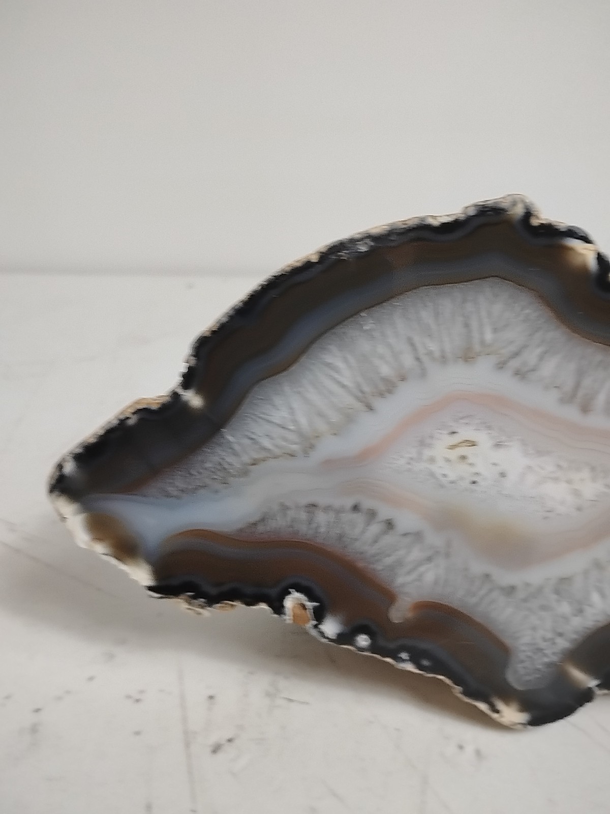 Geode Half Cut and Polished Origin Unknown White/Brown/Dark Brown – SEE PICS!!!
